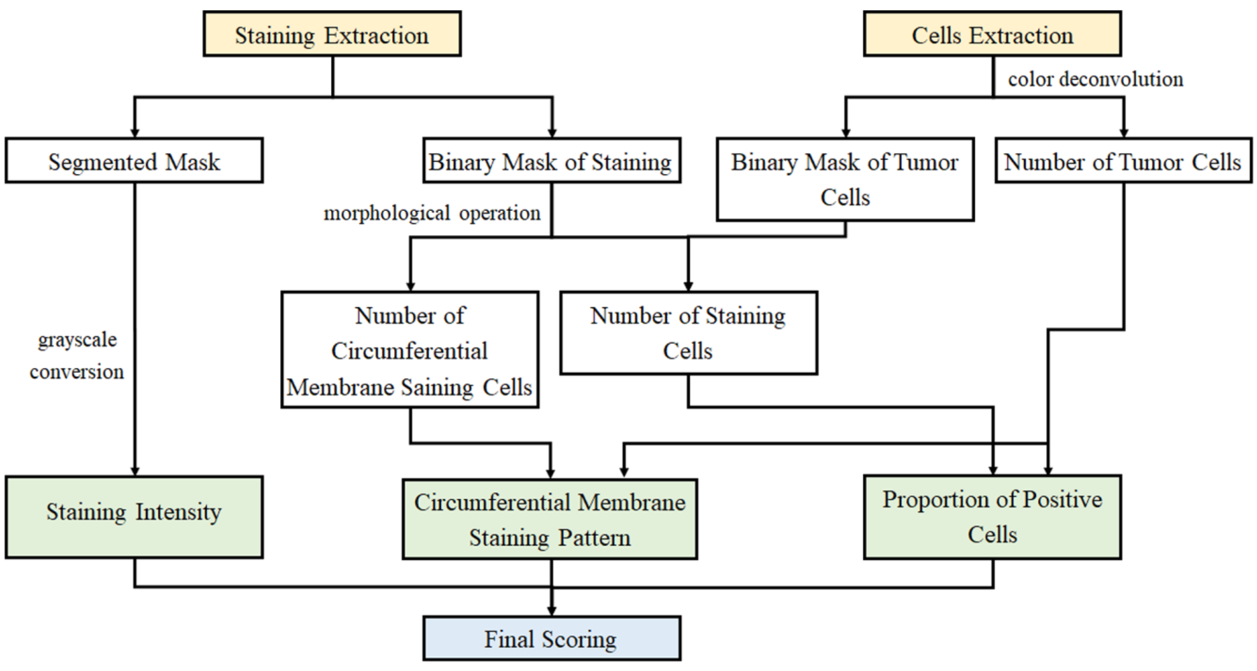 Diagnostics 13 00263 g004