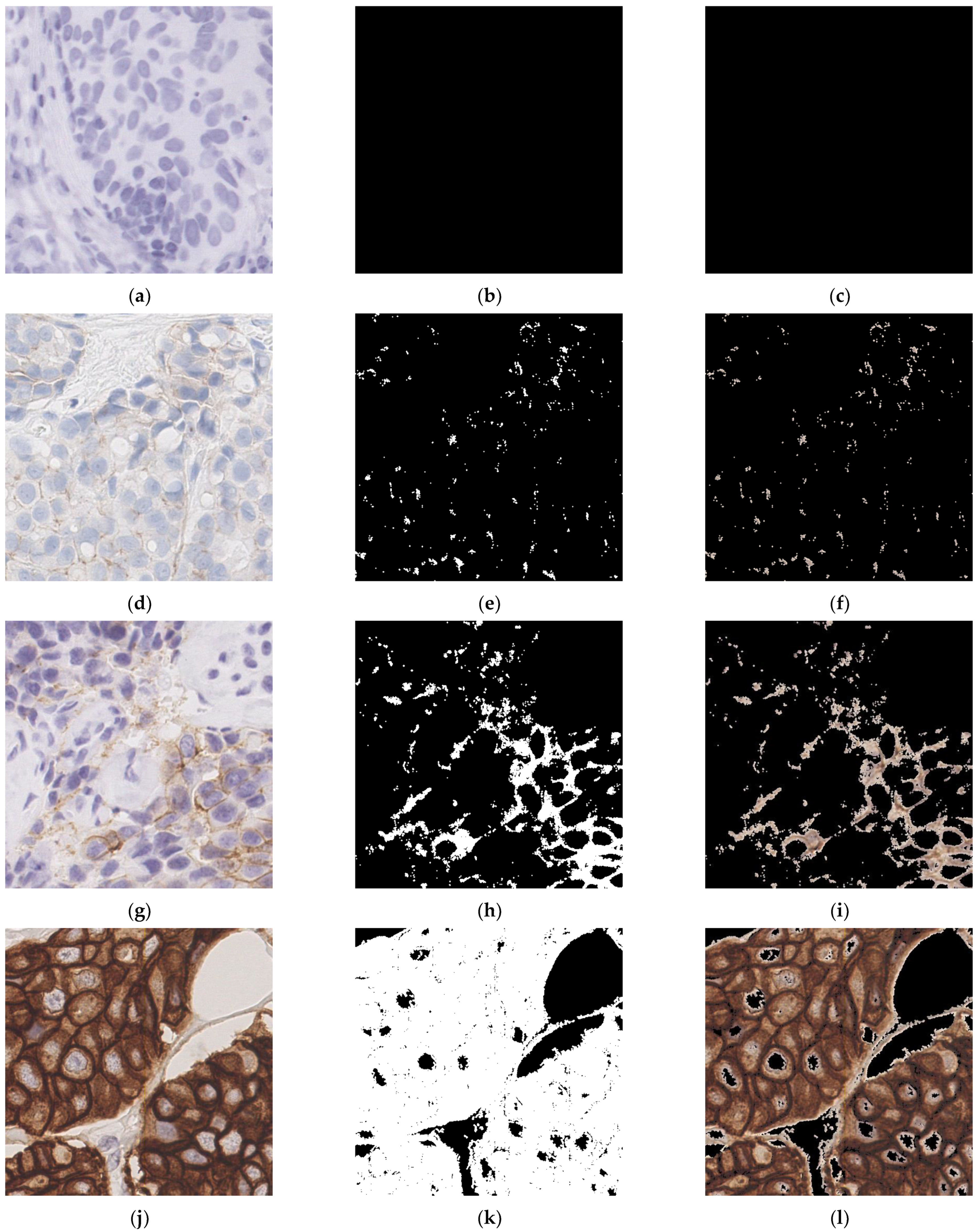 Diagnostics 13 00263 g007