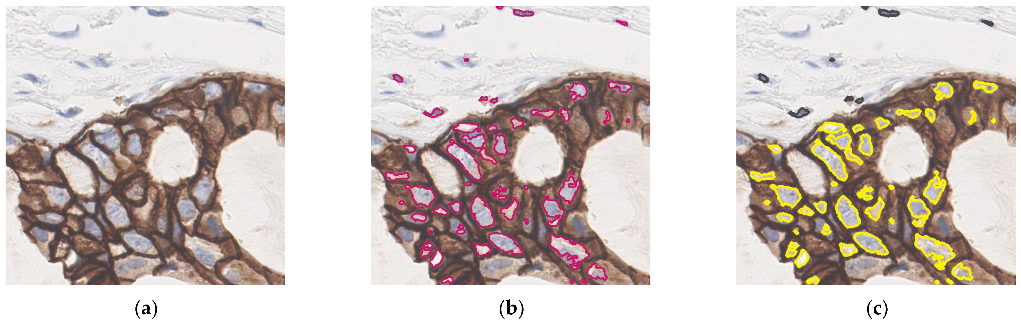 Diagnostics 13 00263 g008