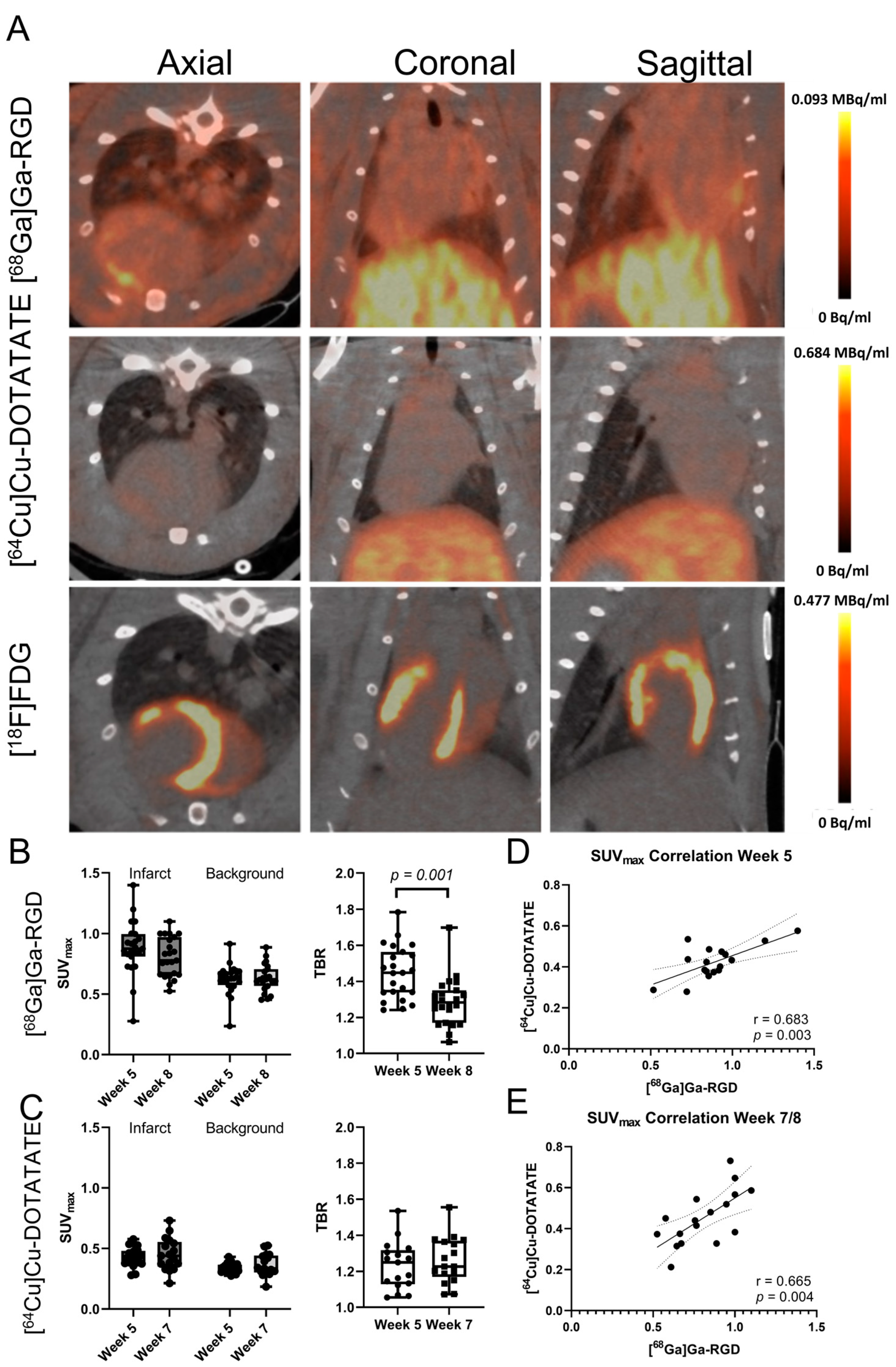 Diagnostics 13 00268 g002
