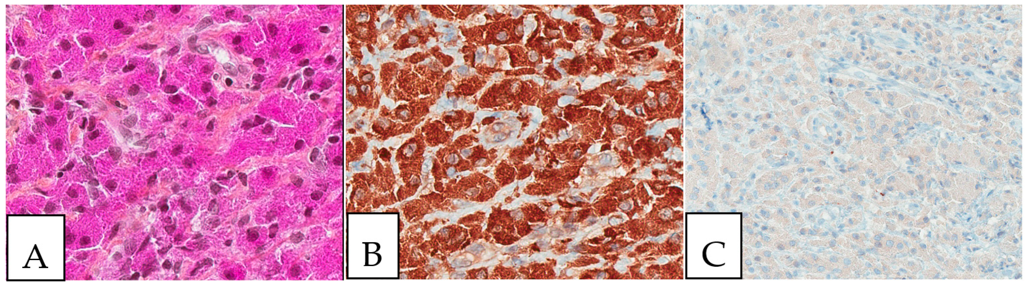 Diagnostics 13 00271 g002