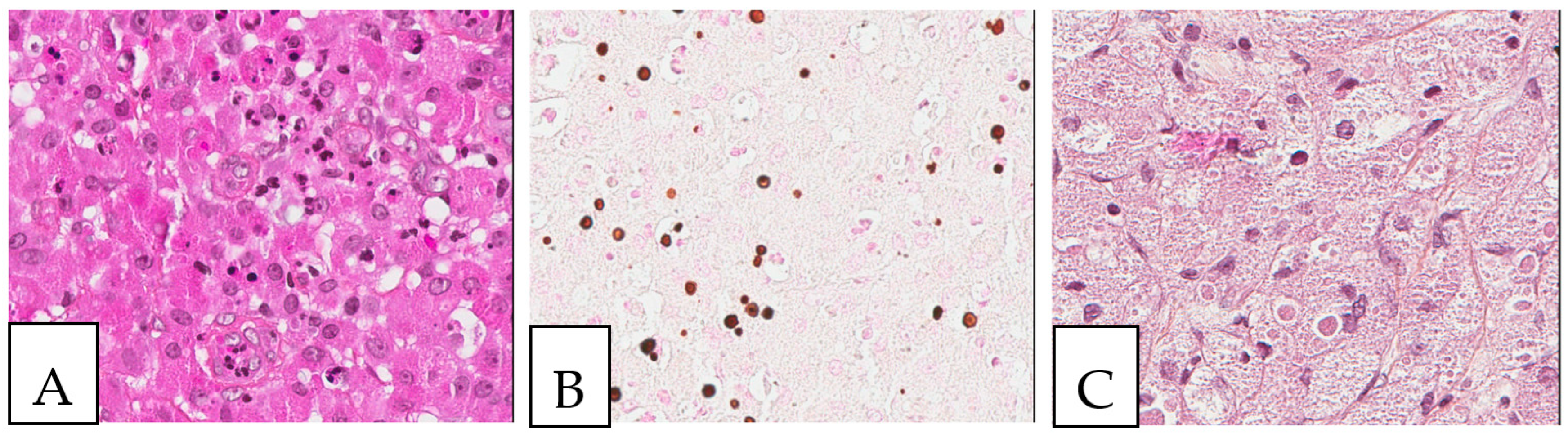 Diagnostics 13 00271 g003