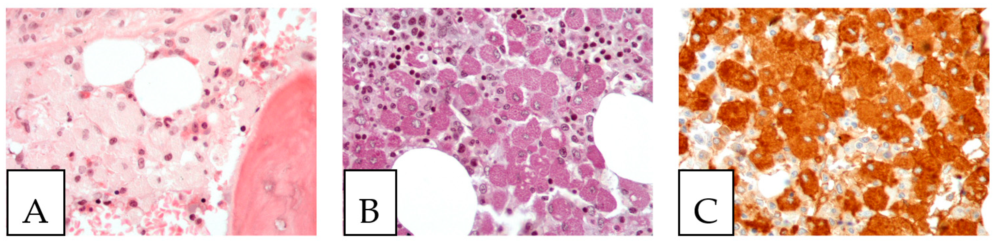 Diagnostics 13 00271 g007