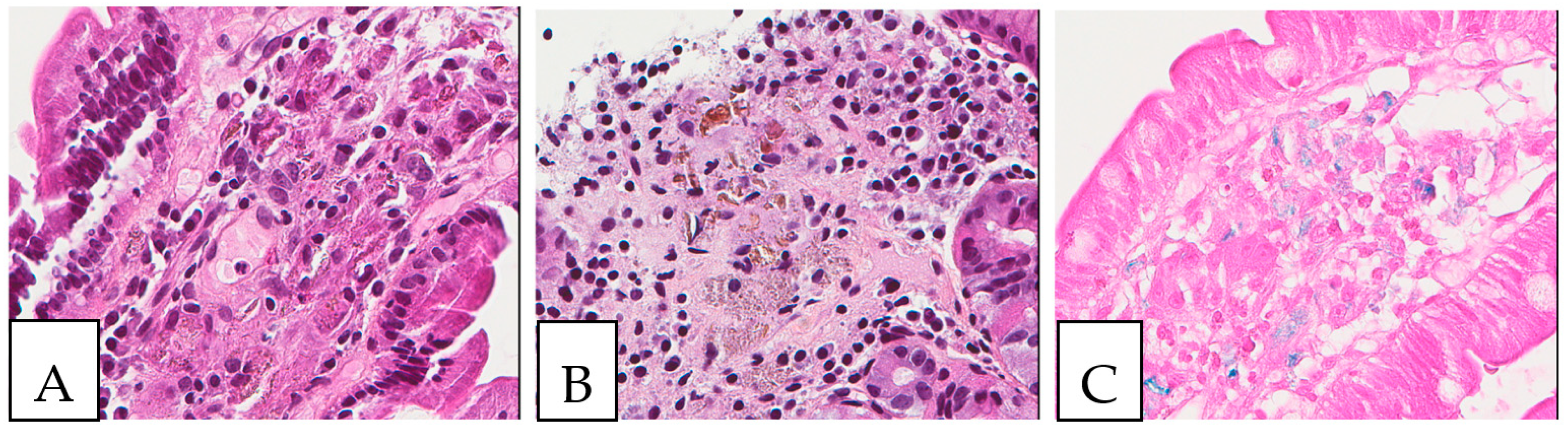 Diagnostics 13 00271 g008