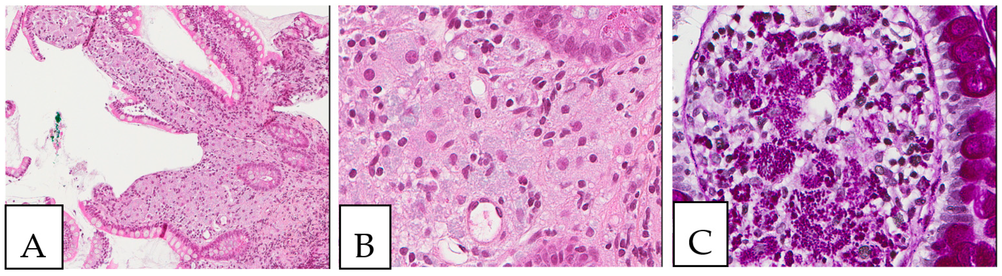 Diagnostics 13 00271 g009