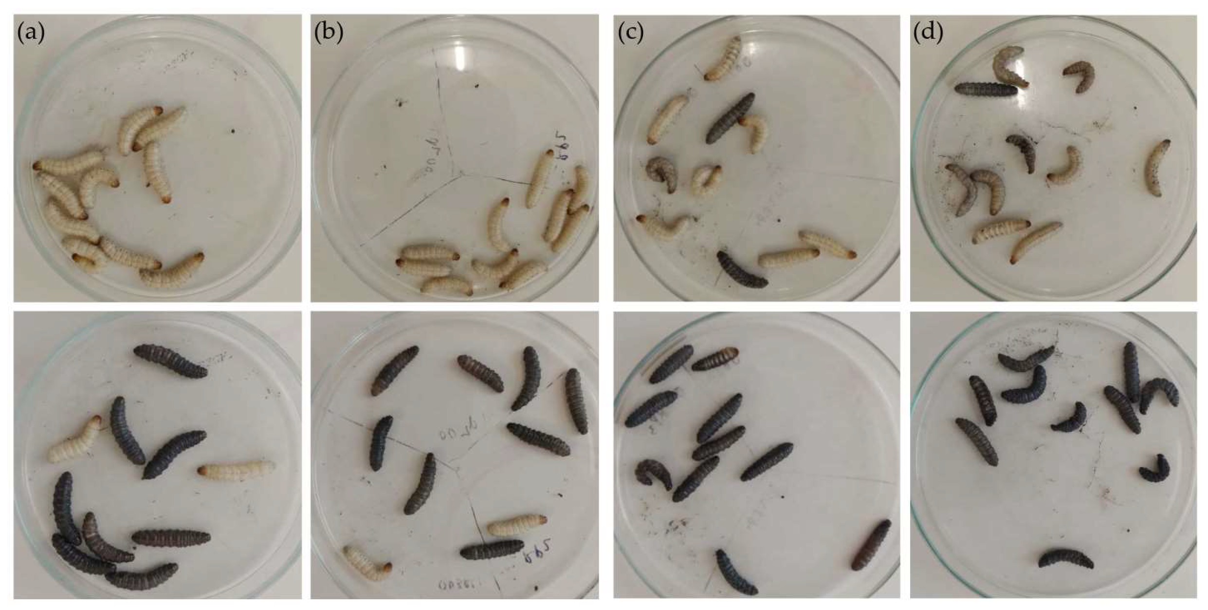 Diagnostics 13 00279 g003