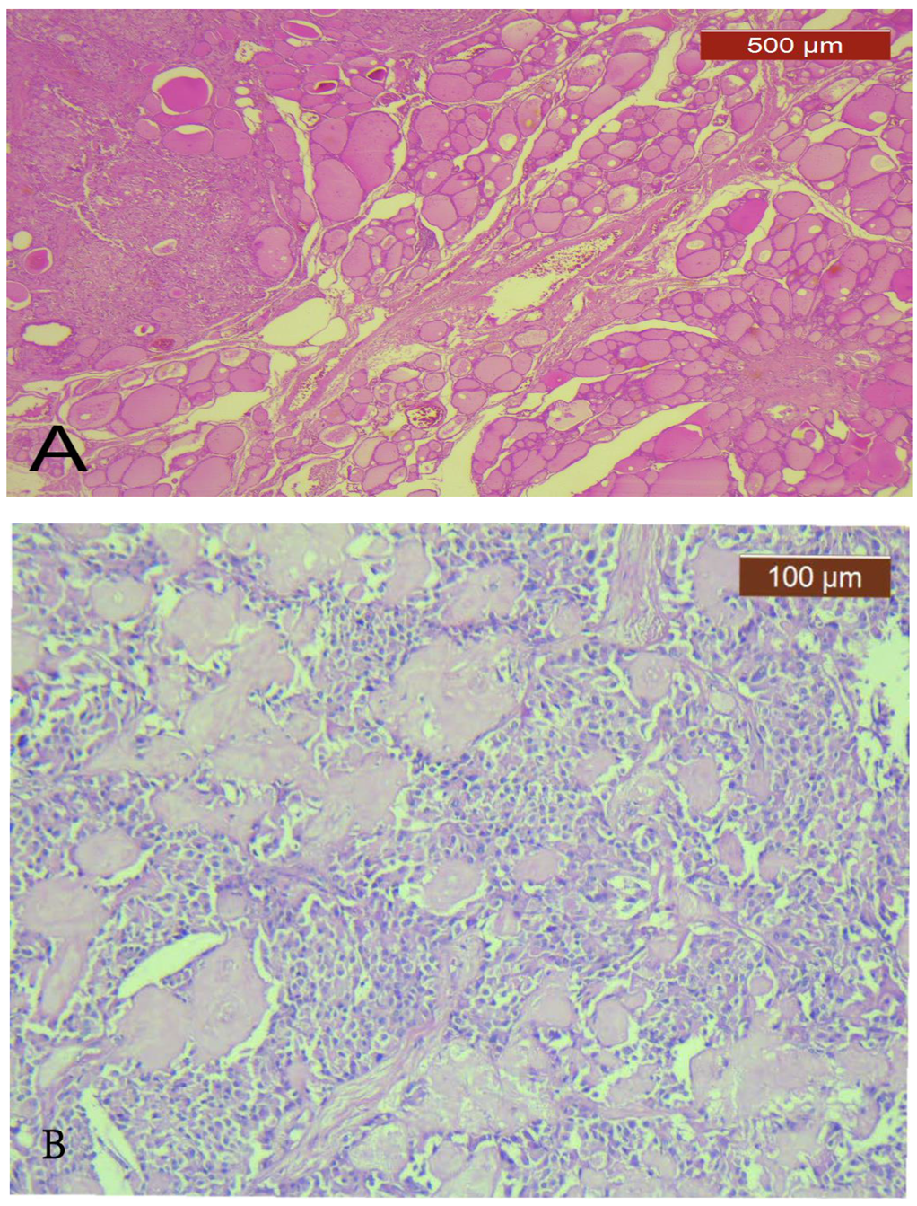 Diagnostics 13 00285 g001a