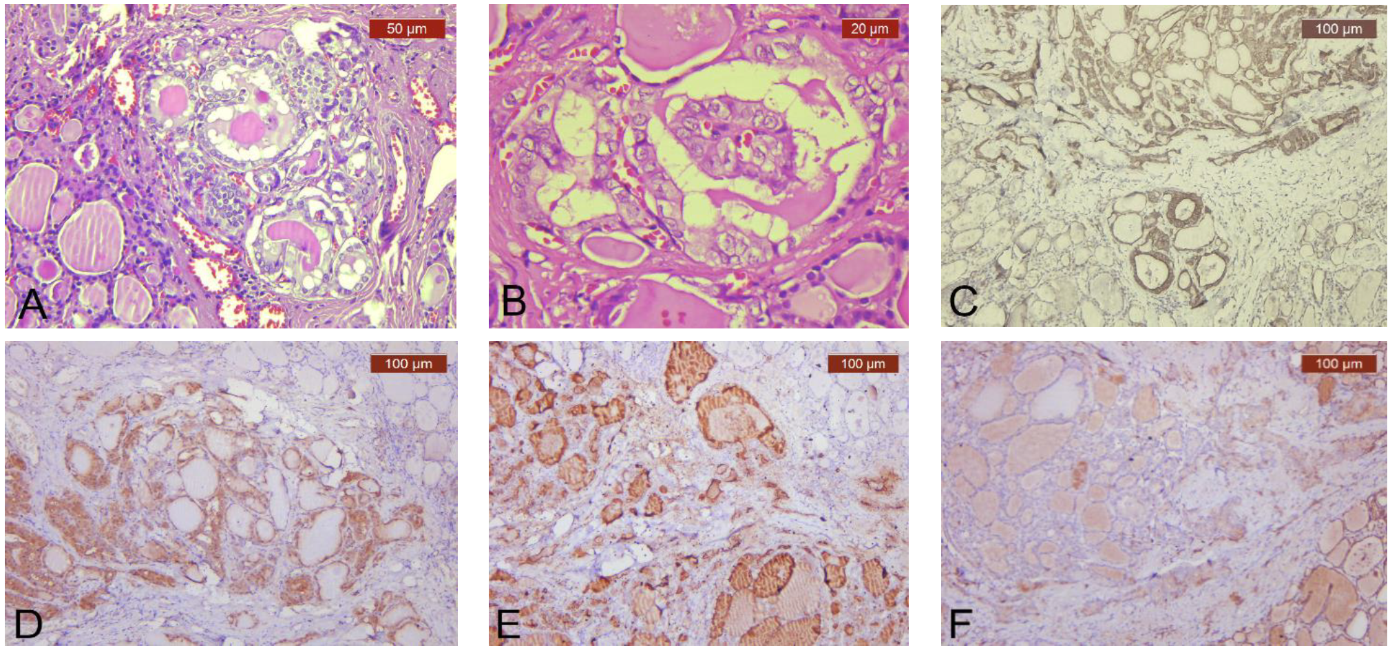 Diagnostics 13 00285 g003