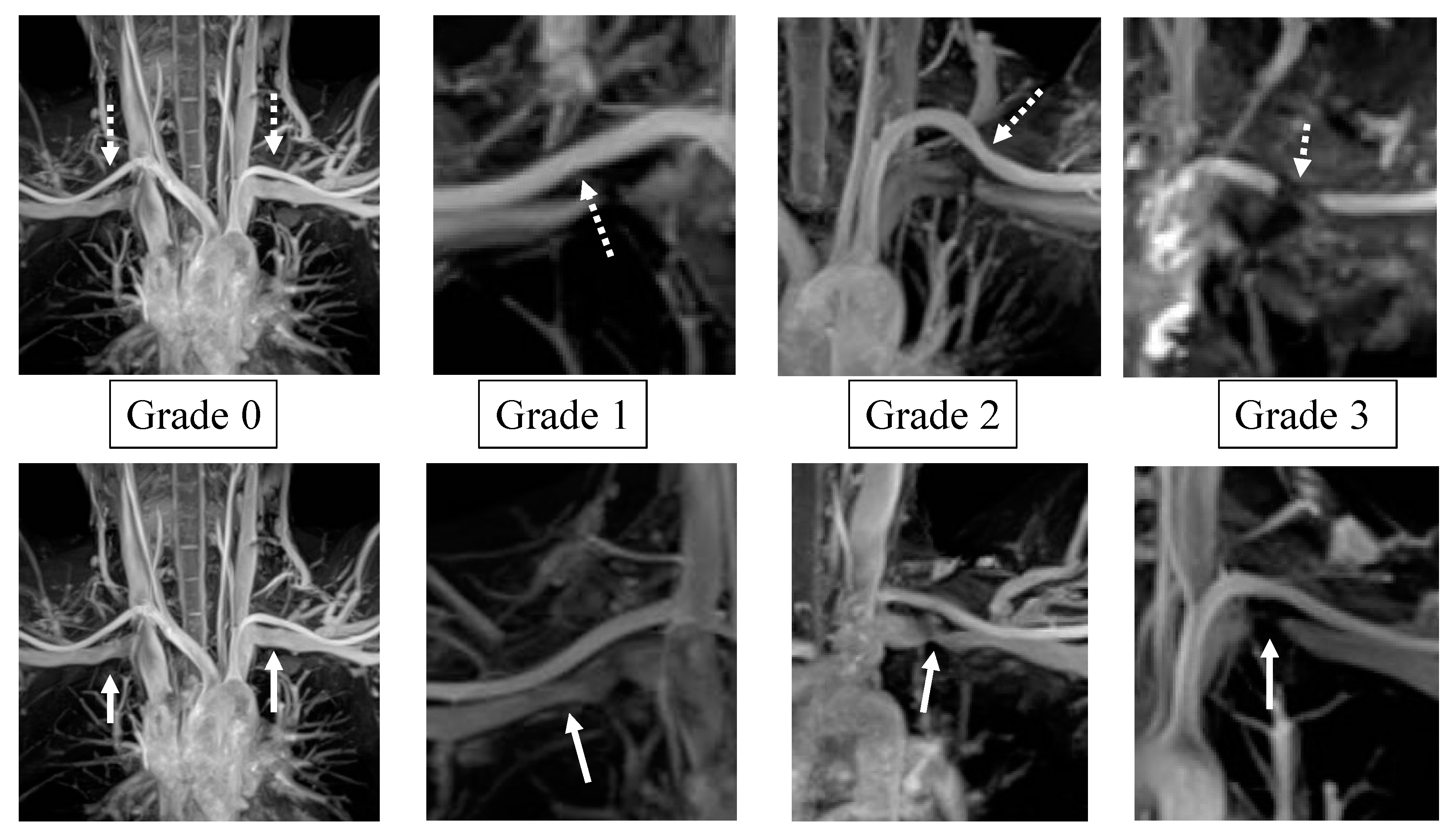 Diagnostics 13 00319 g003 Diagnostics 13 00319 g003