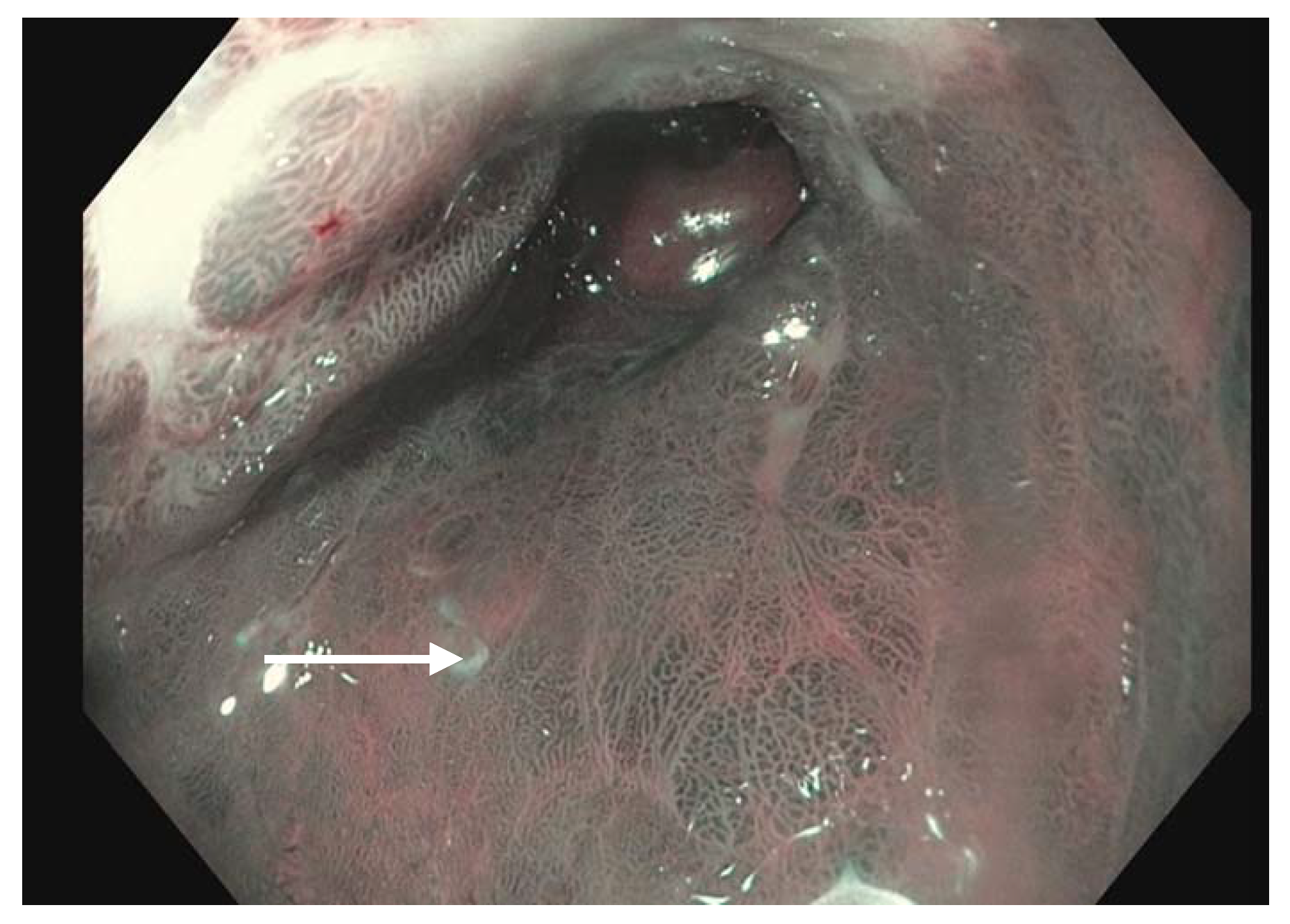 Diagnostics 13 00321 g001
