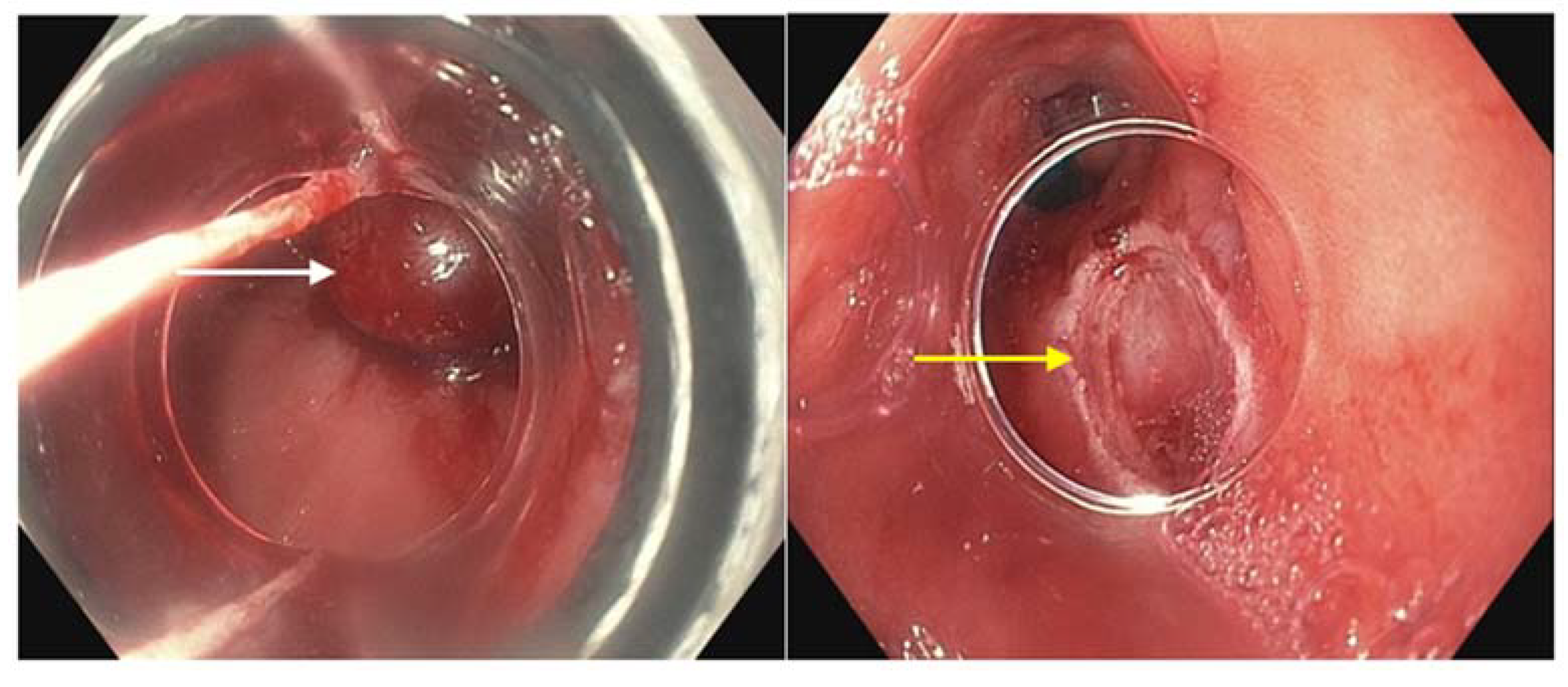 Diagnostics 13 00321 g002