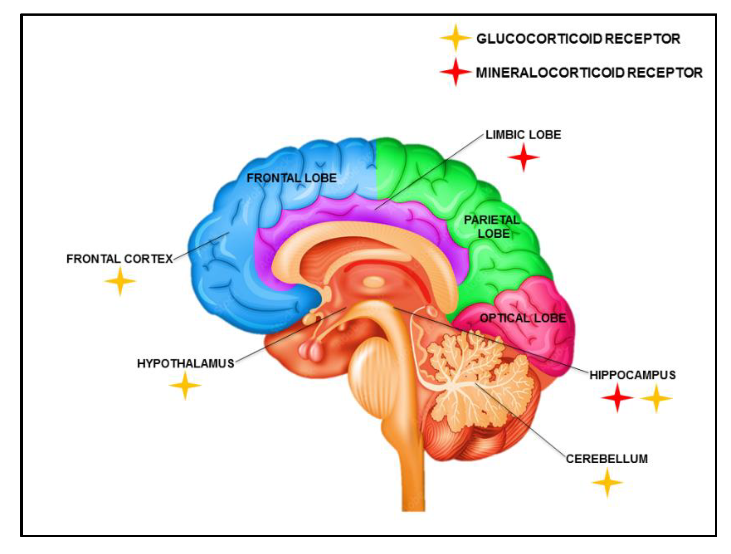 Frontiers  Behavioral and neuropsychiatric challenges across the