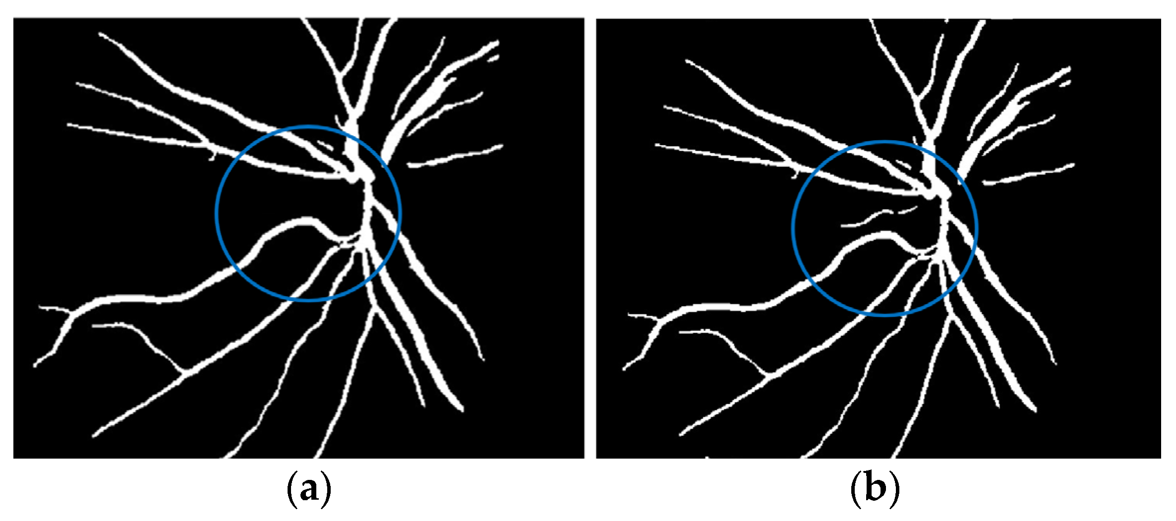Diagnostics 13 00342 g008