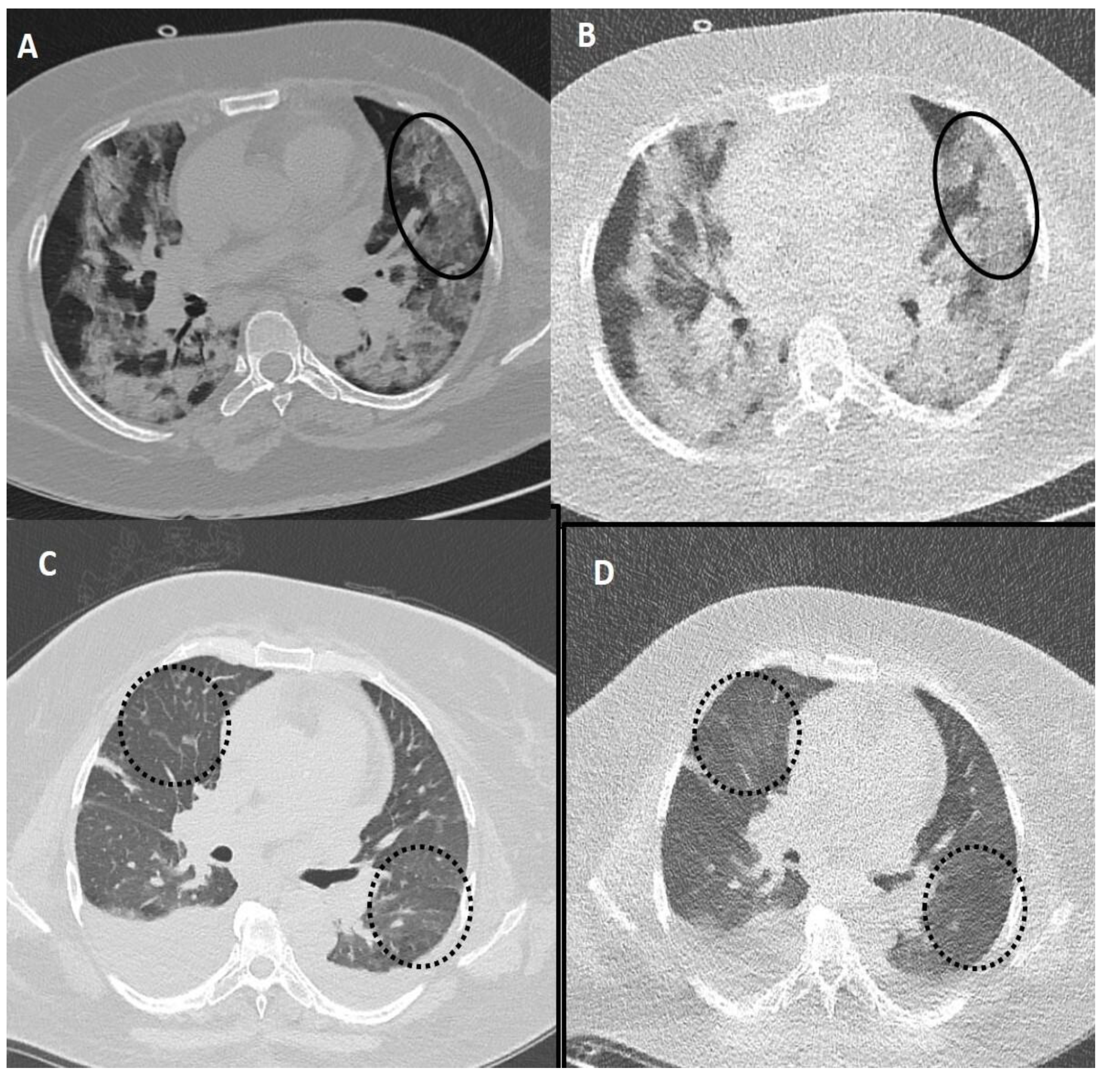Diagnostics 13 00351 g005