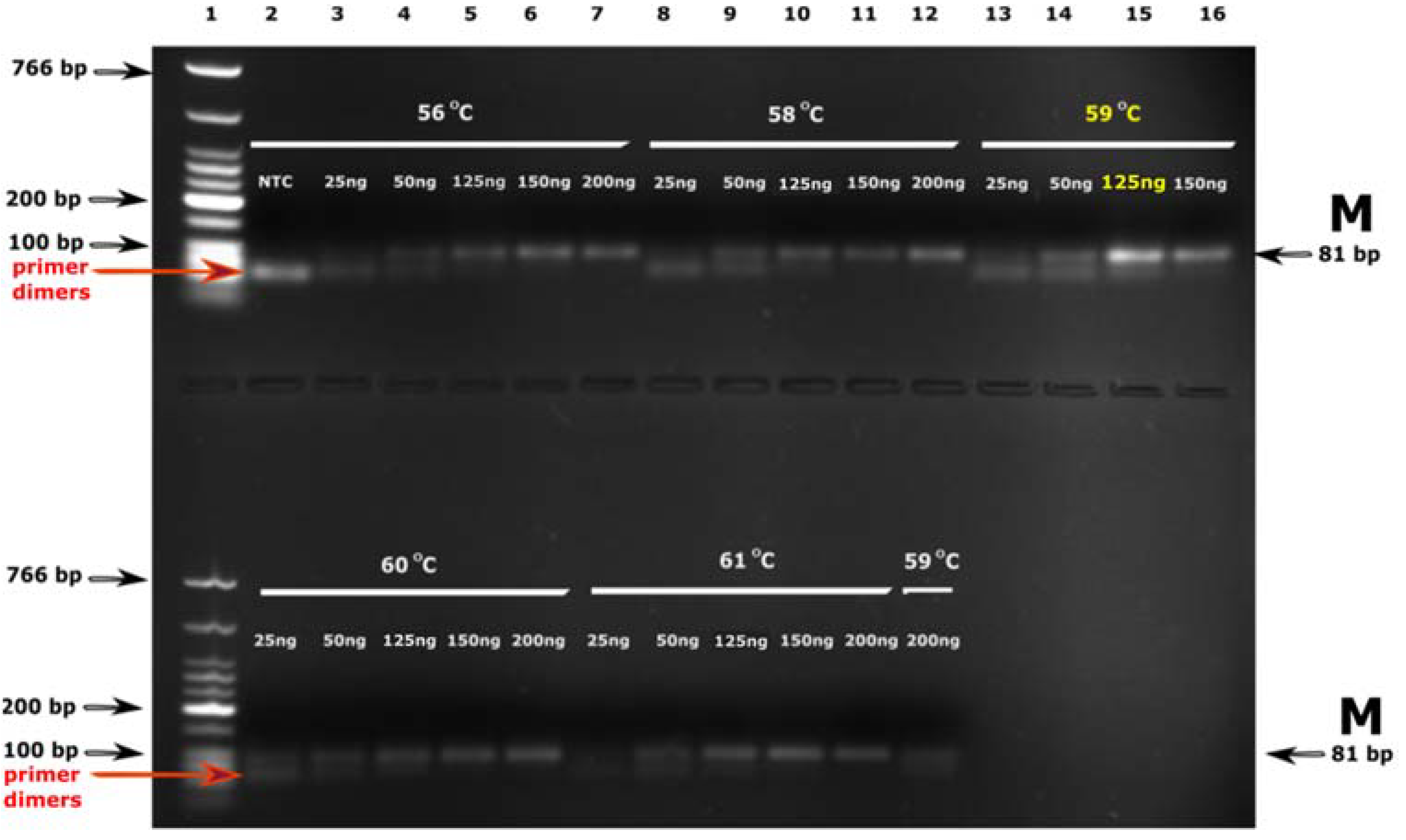 Diagnostics 13 00360 g001 Diagnostics 13 00360 g001