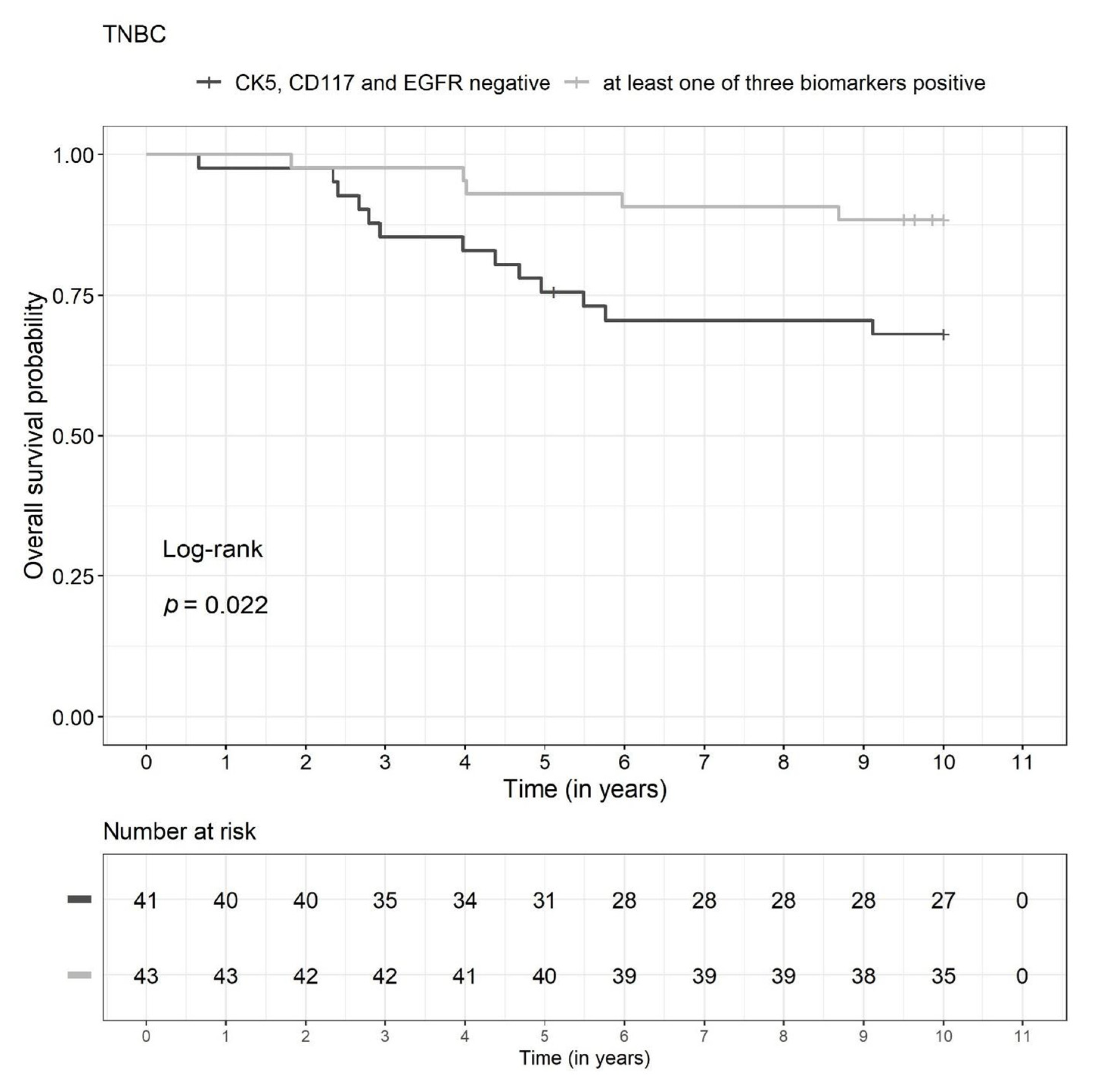 Diagnostics 13 00372 g004