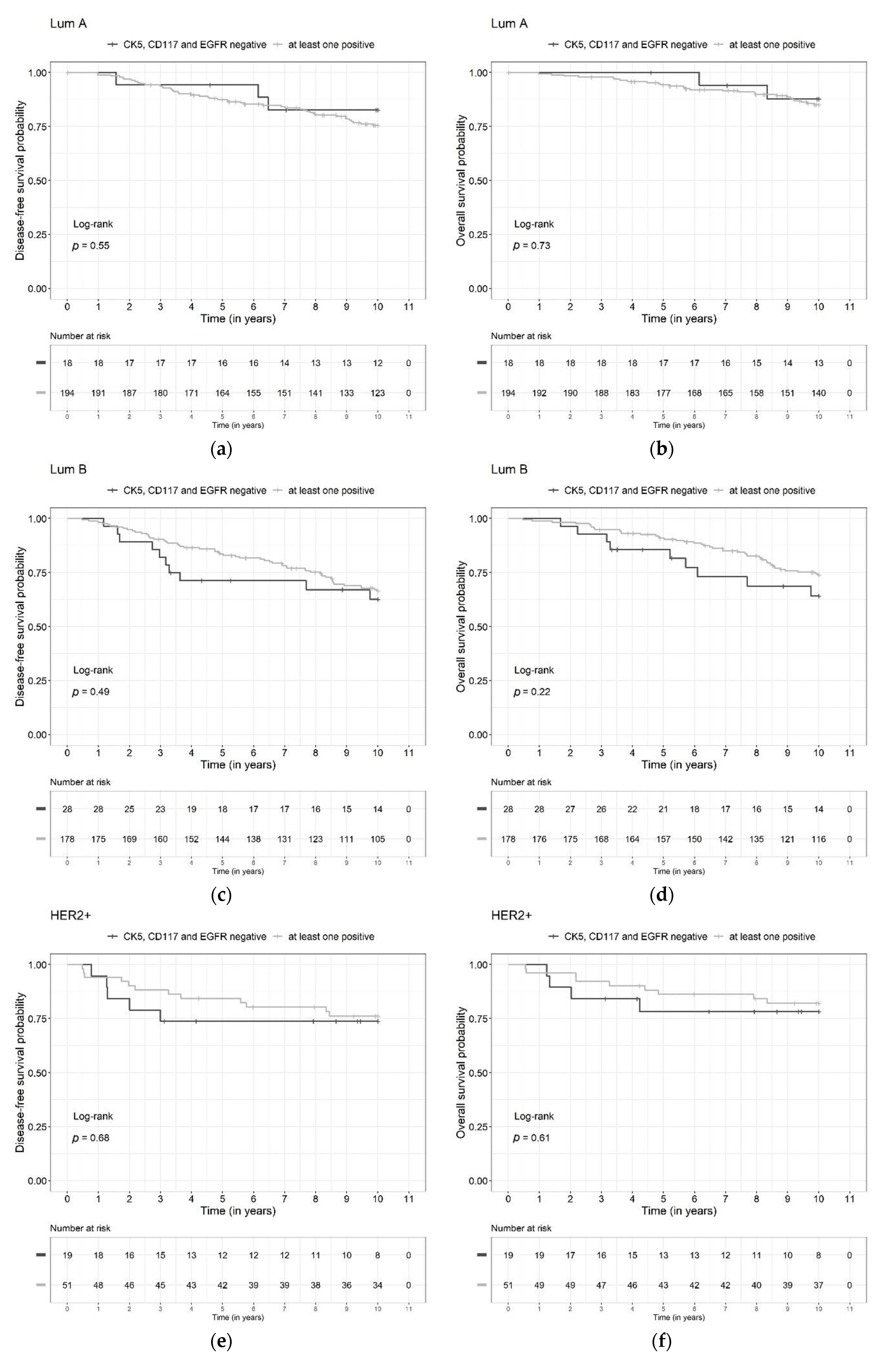 Diagnostics 13 00372 g005