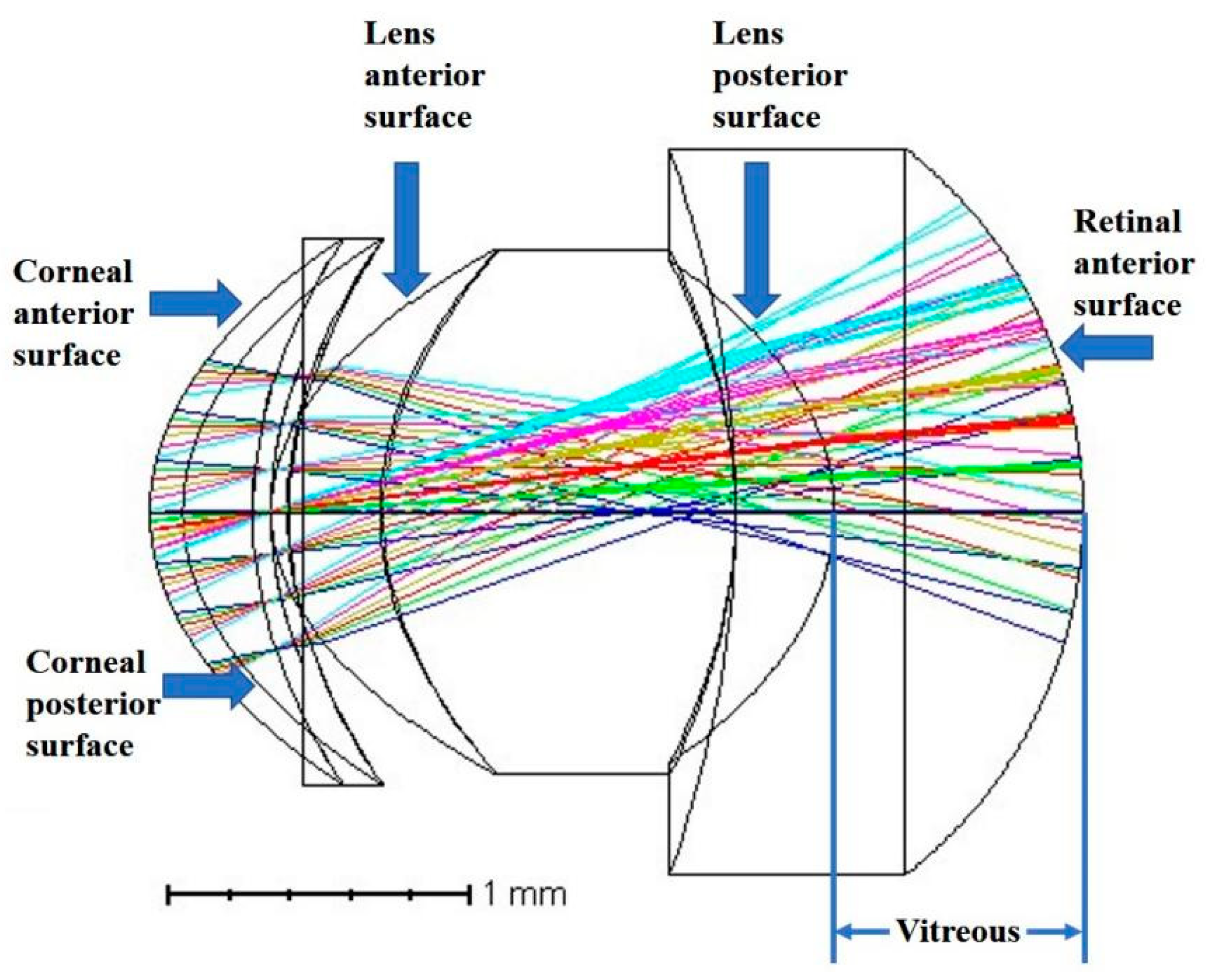Diagnostics Free FullText TimeSerial Evaluation of the