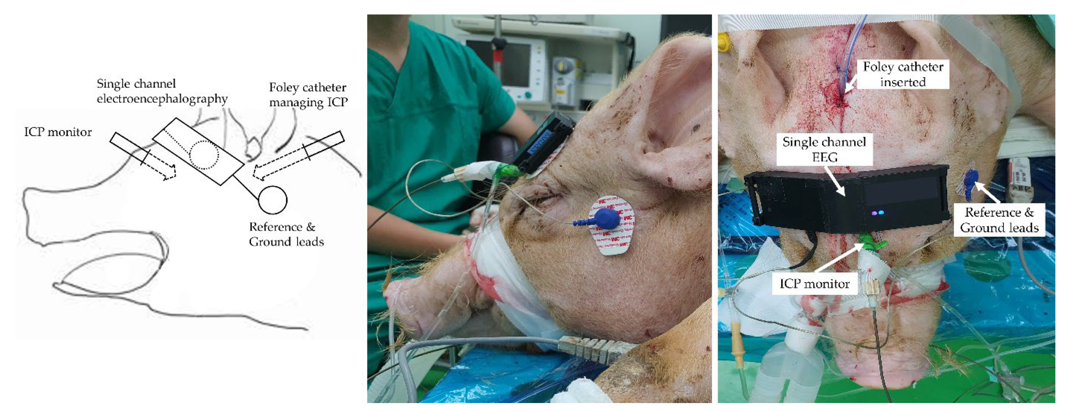 Diagnostics 13 00386 g002