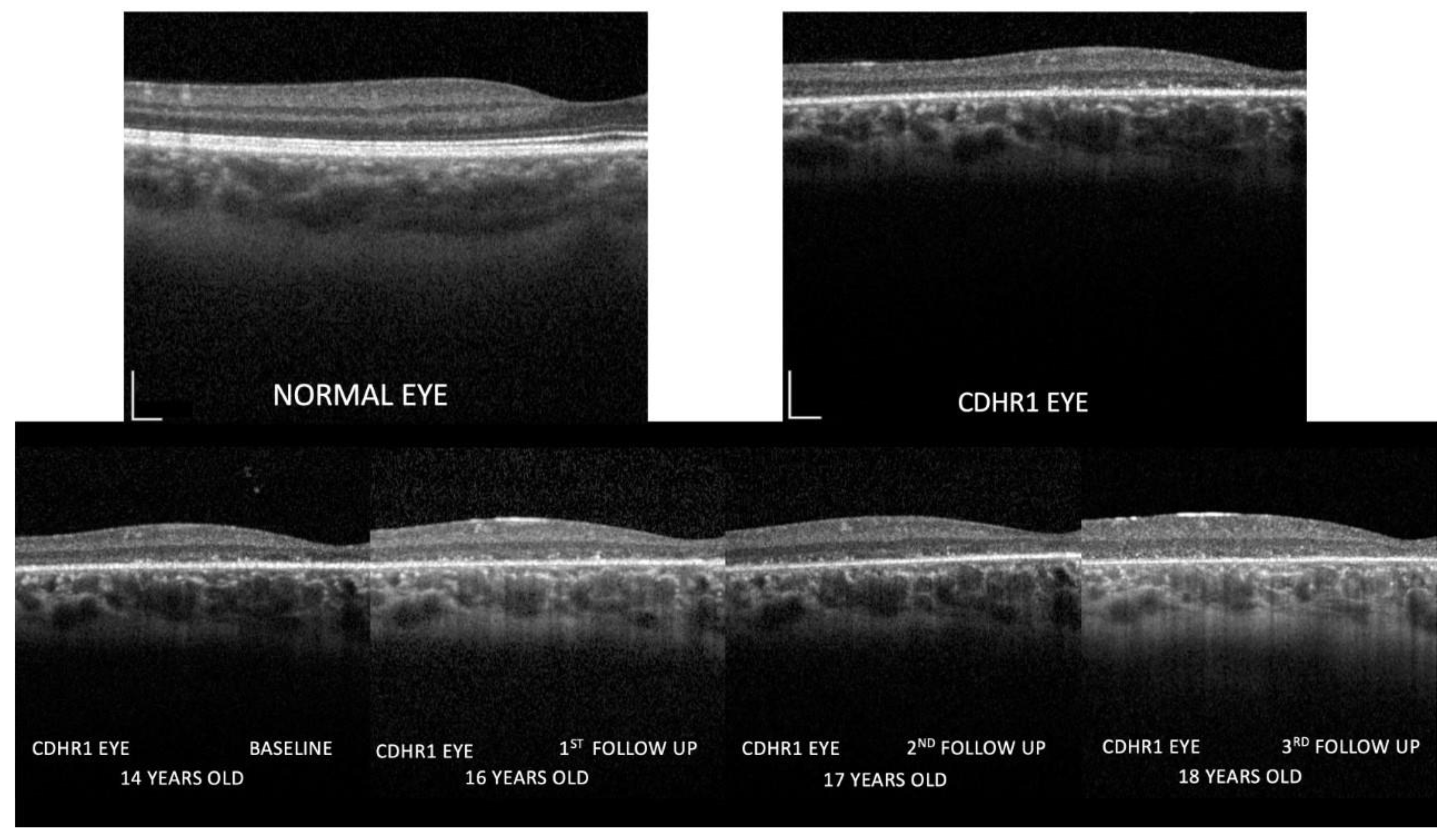 Diagnostics 13 00392 g005