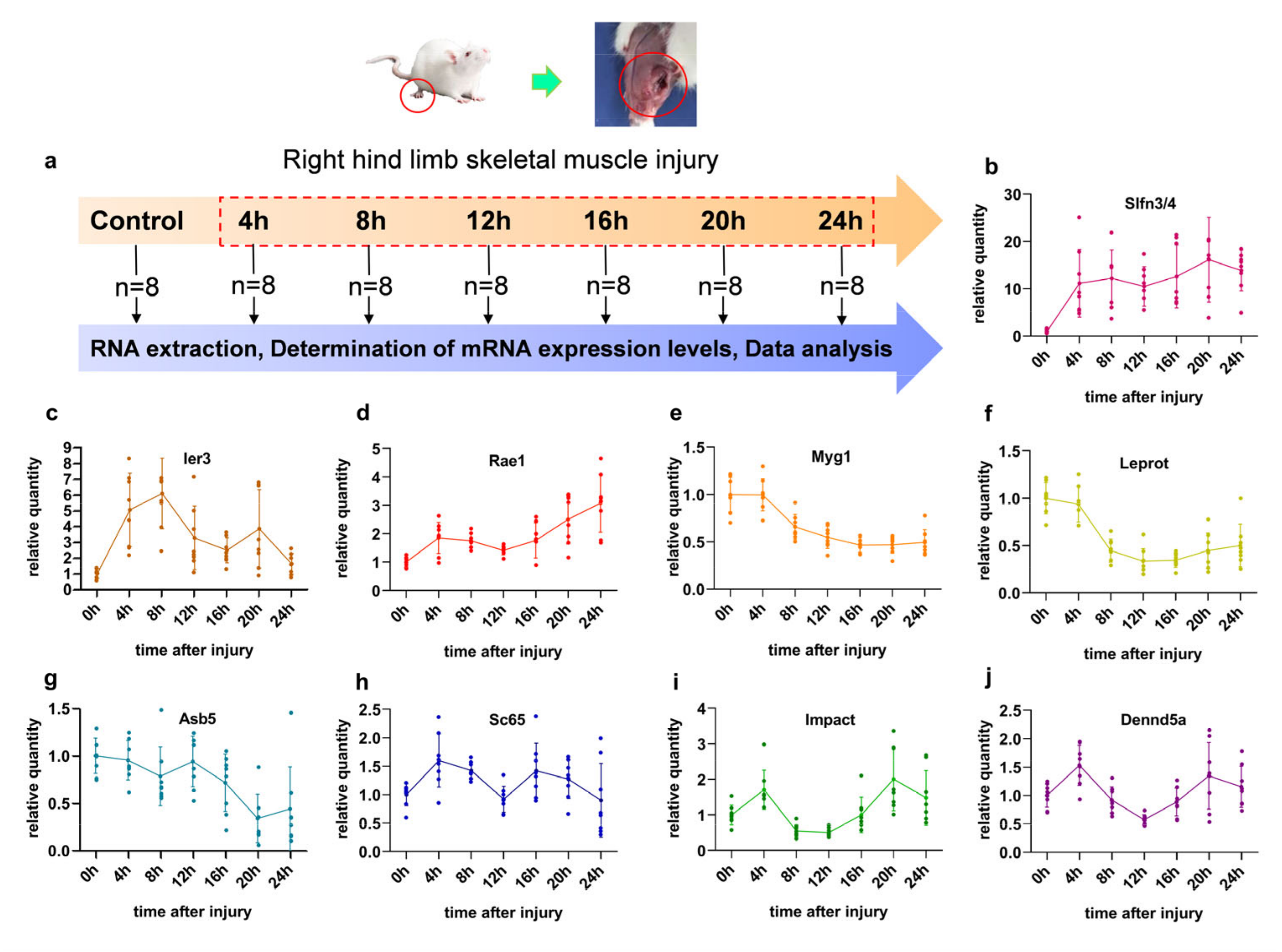 Diagnostics 13 00395 g002 Diagnostics 13 00395 g002