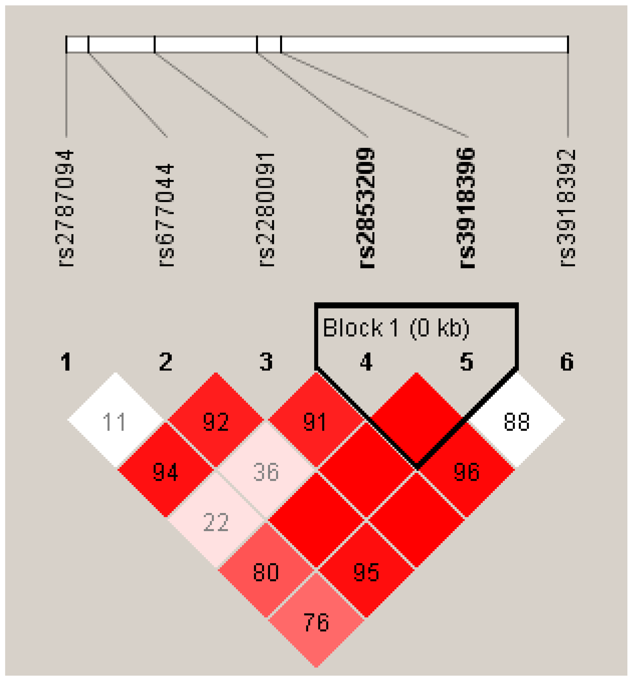 Diagnostics 13 00405 g001