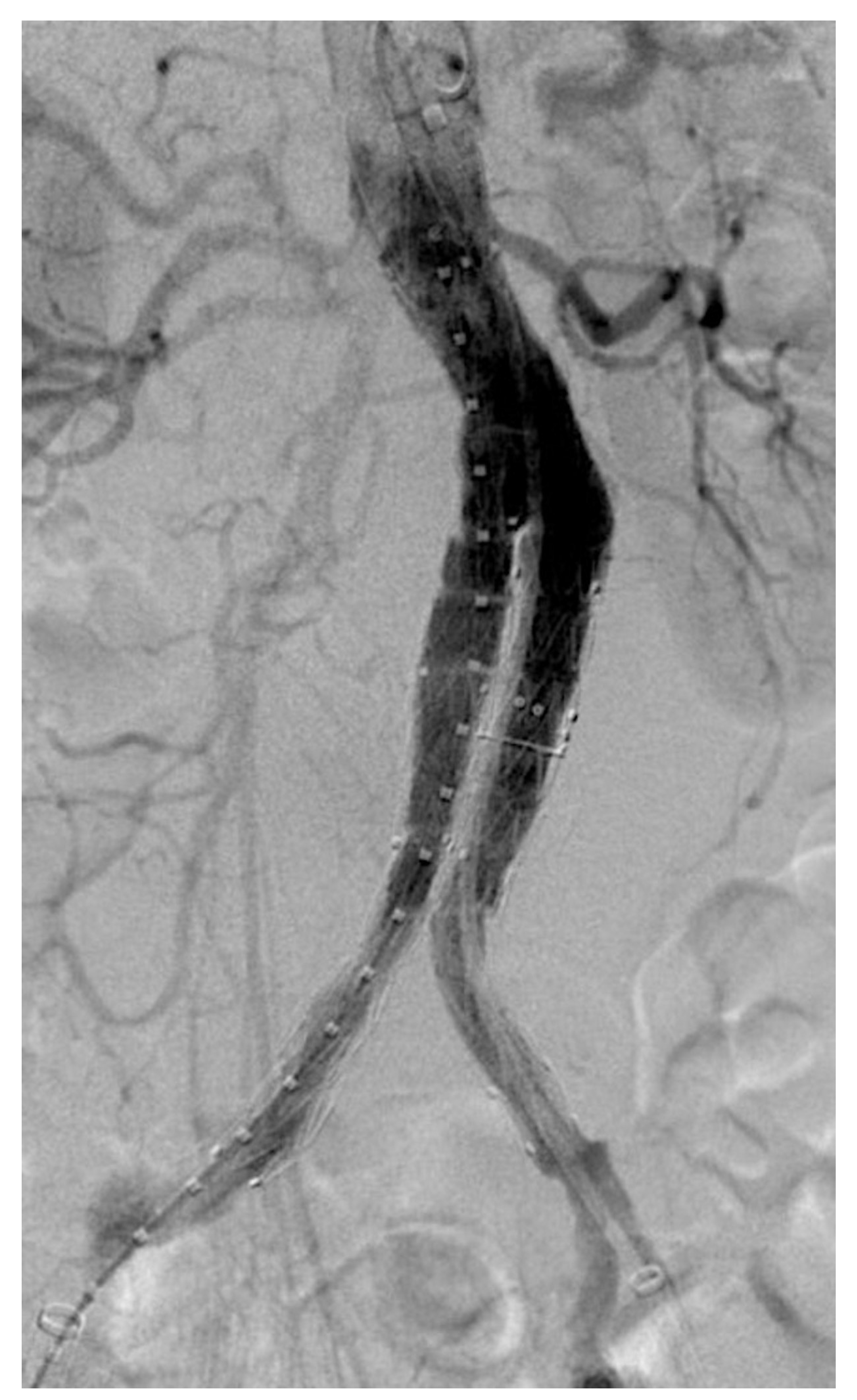 Diagnostics 13 00409 g001