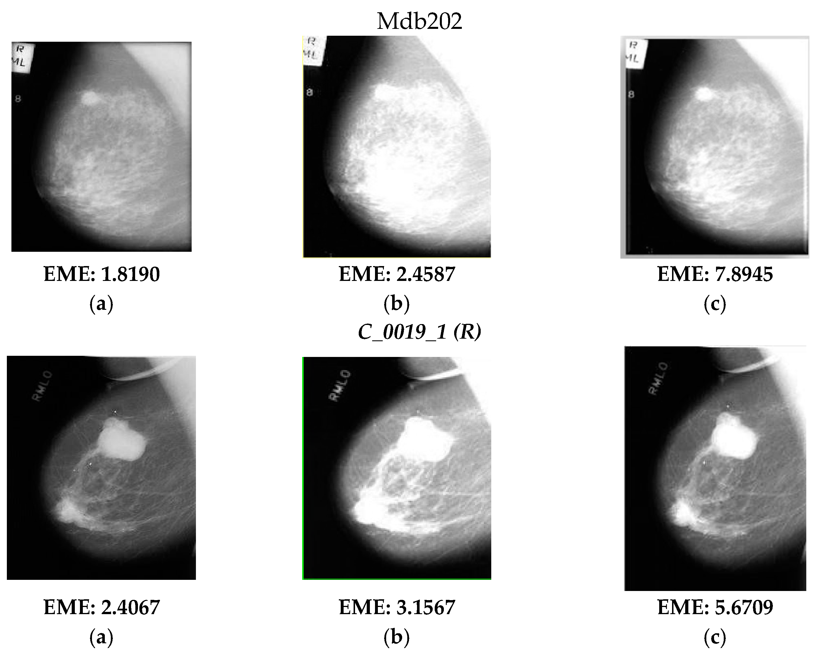 Diagnostics 13 00410 g002a Diagnostics 13 00410 g002a