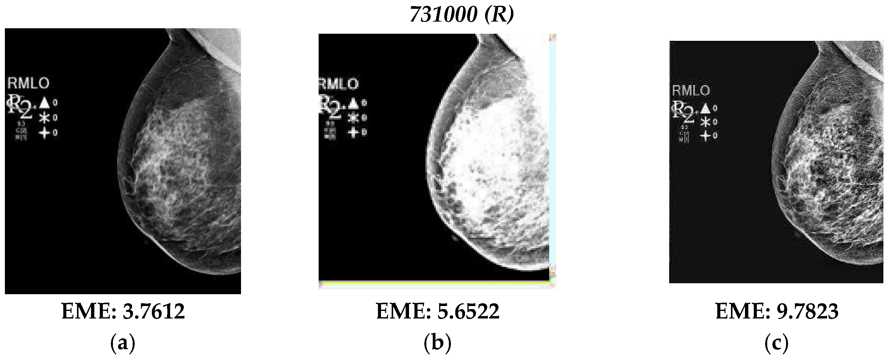 Diagnostics 13 00410 g002b Diagnostics 13 00410 g002b