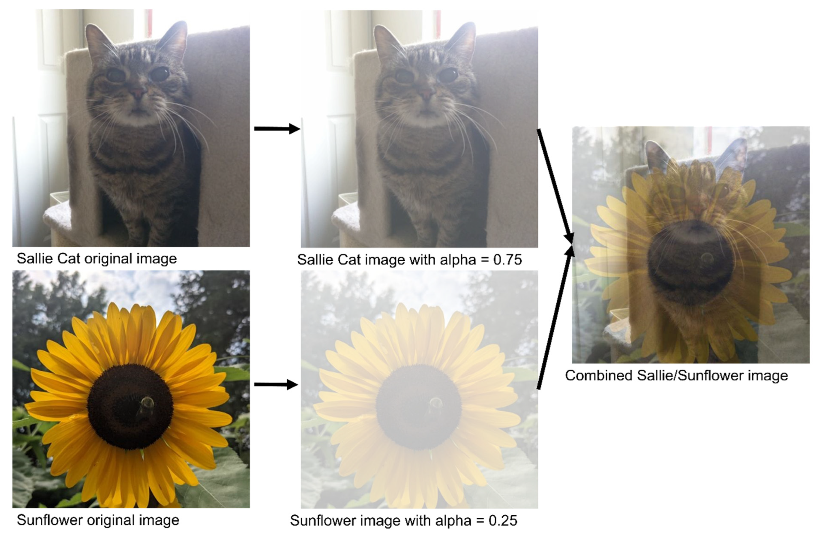 Diagnostics 13 00417 g001 Diagnostics 13 00417 g001