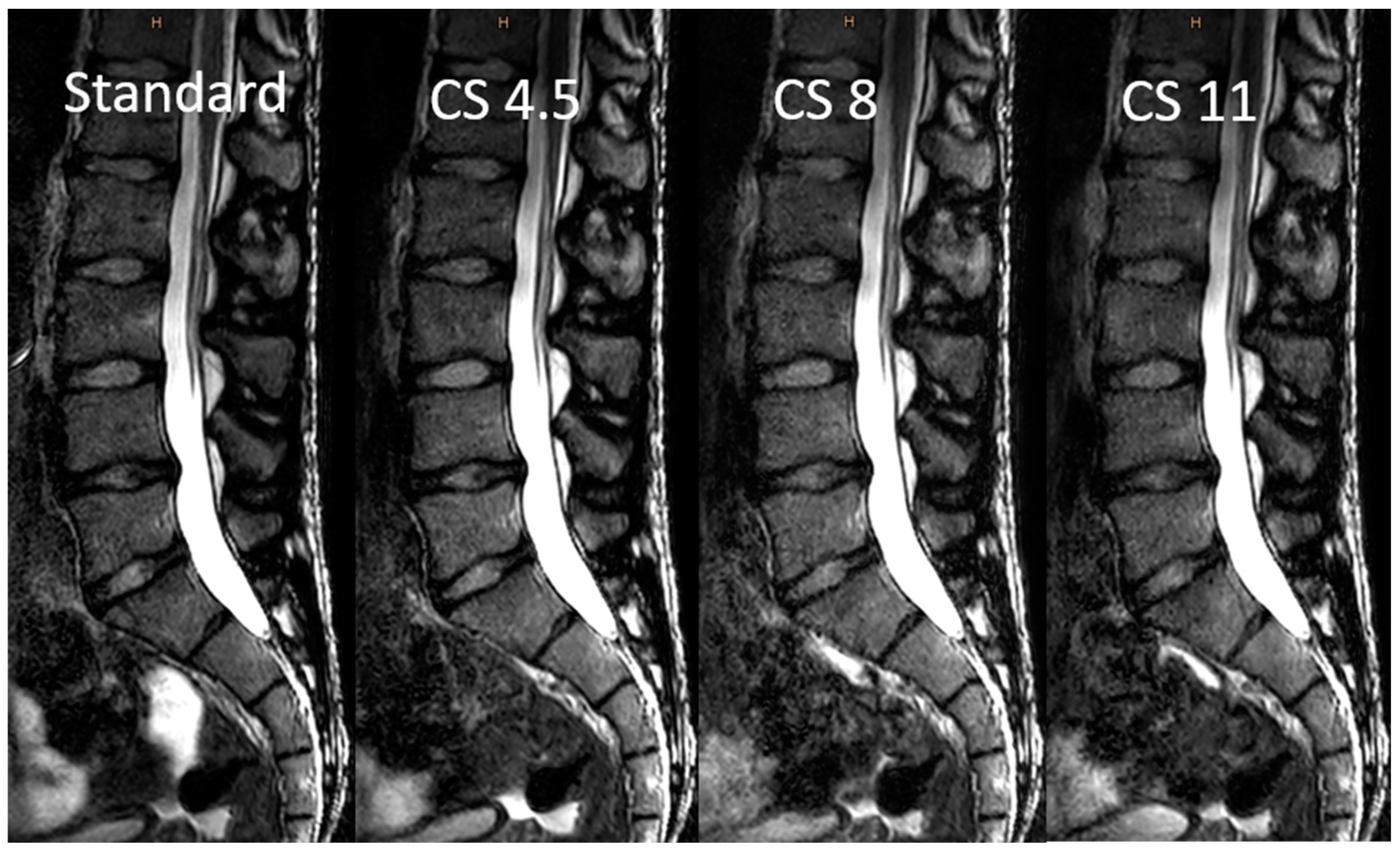 Diagnostics 13 00418 g002 Diagnostics 13 00418 g002