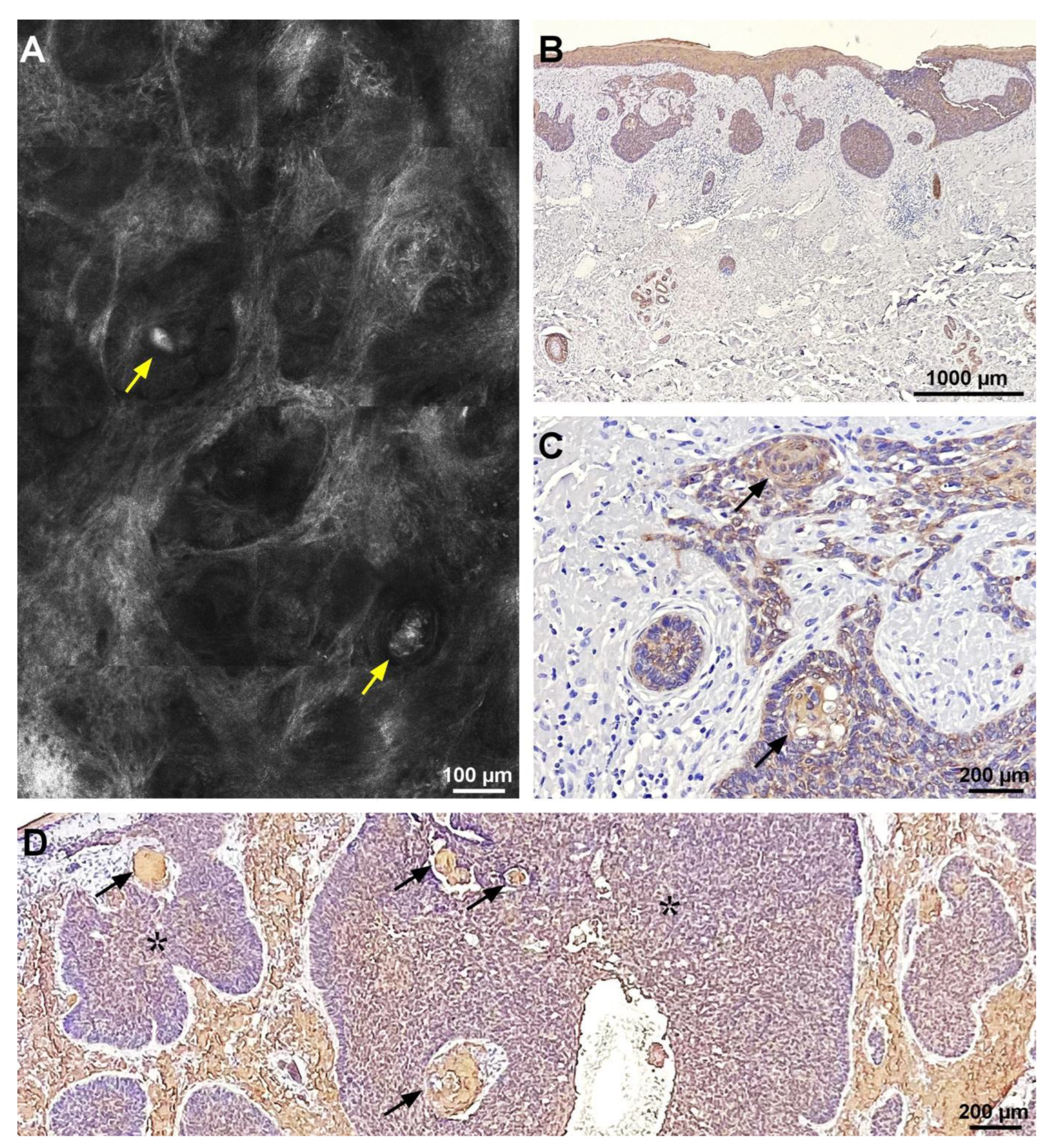 Diagnostics 13 00422 g002