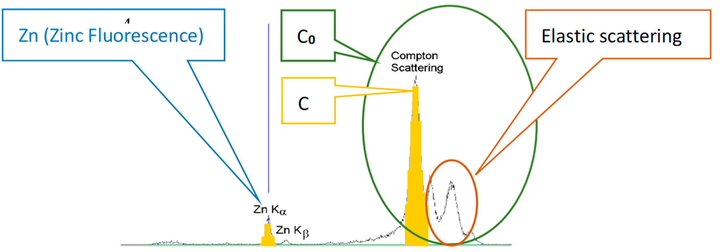 Diagnostics 13 00424 g001