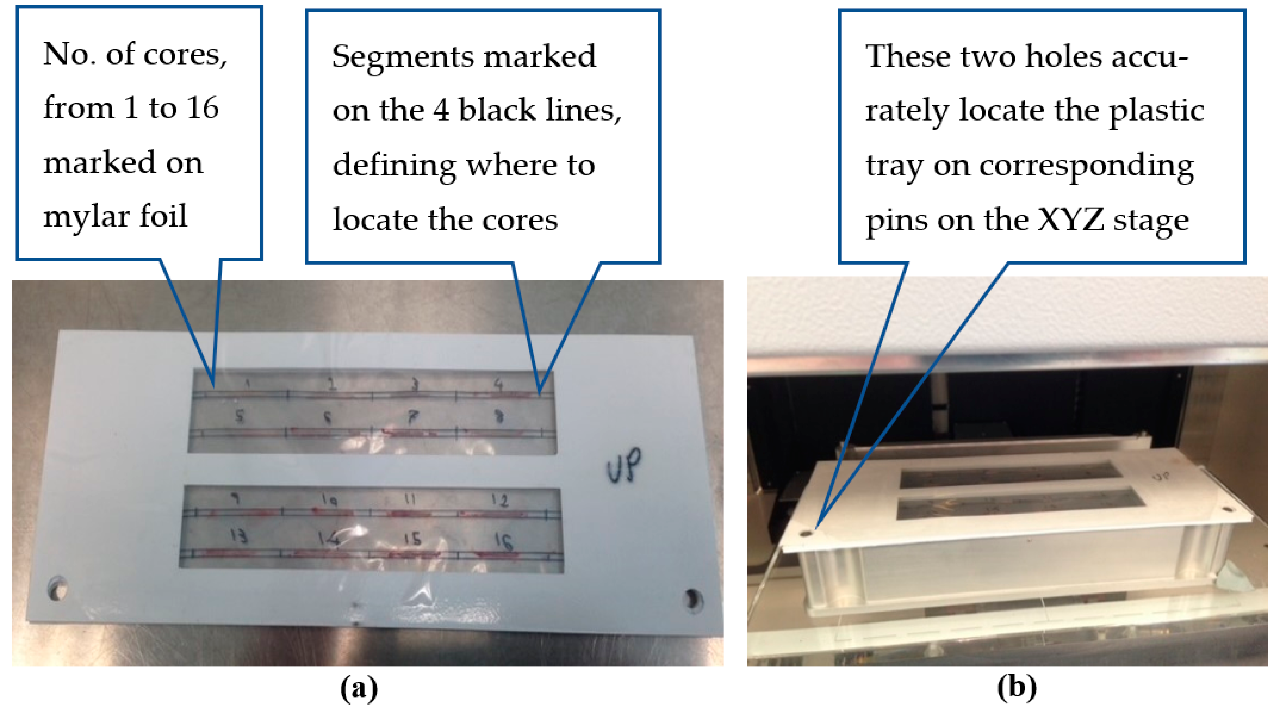 Diagnostics 13 00424 g002