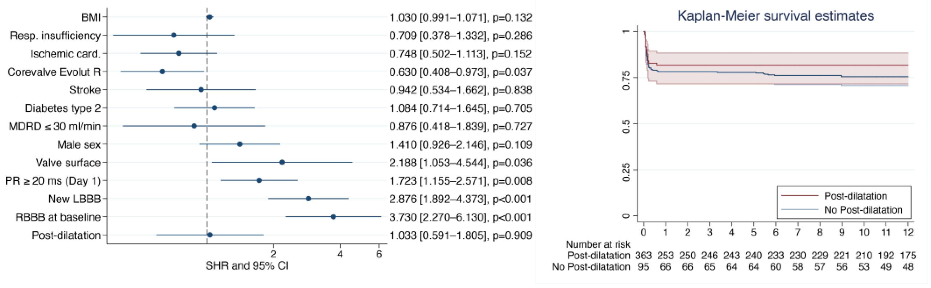 Diagnostics 13 00427 g003 Diagnostics 13 00427 g003