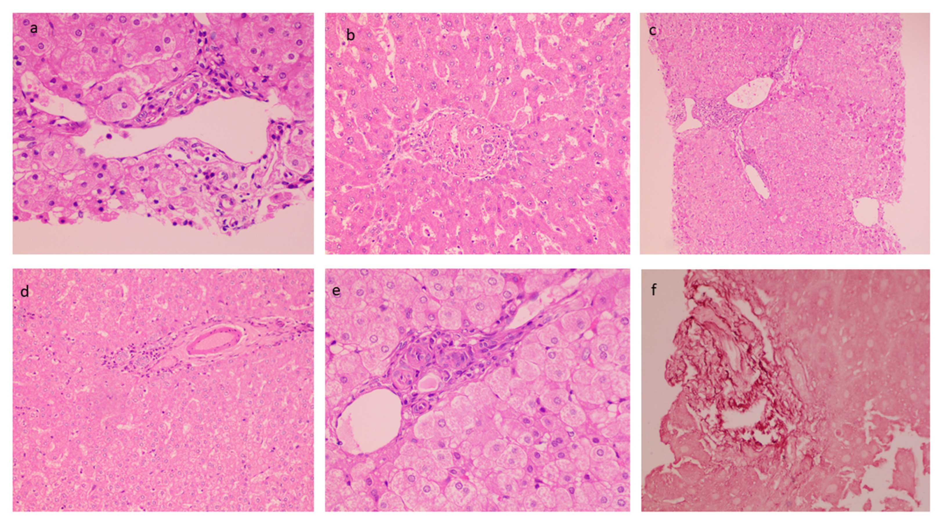 Diagnostics 13 00436 g002