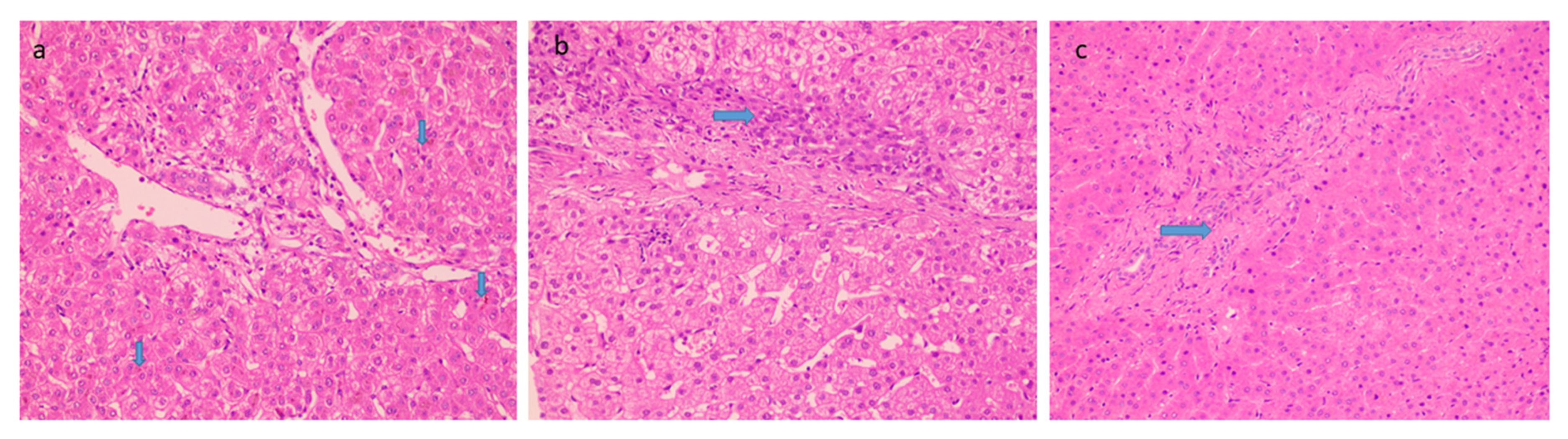 Diagnostics 13 00436 g003