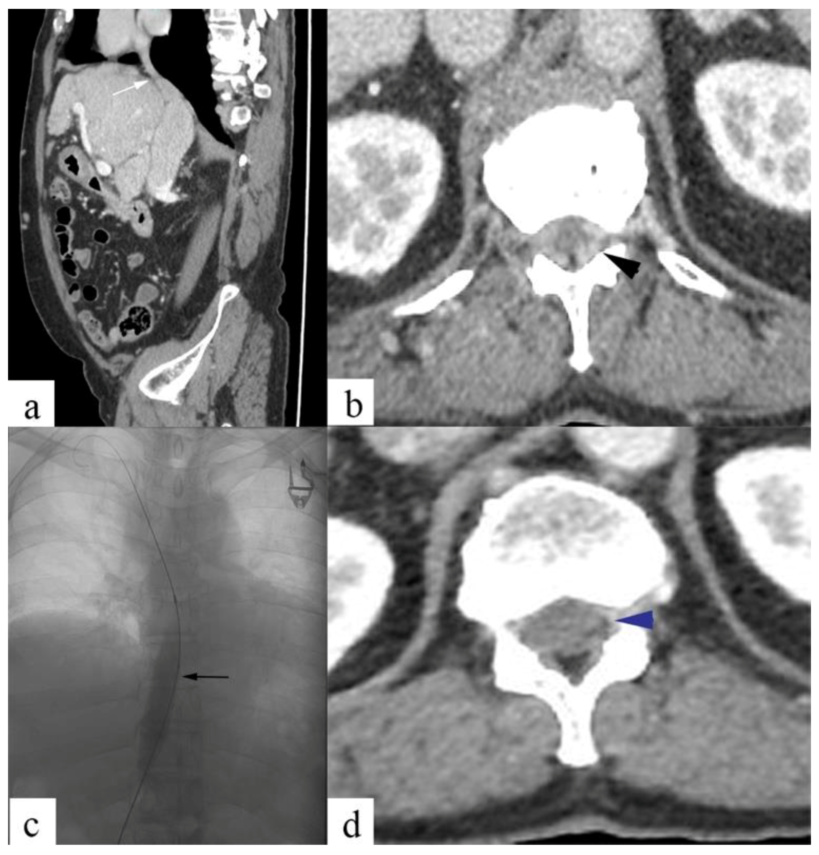 Diagnostics 13 00438 g003