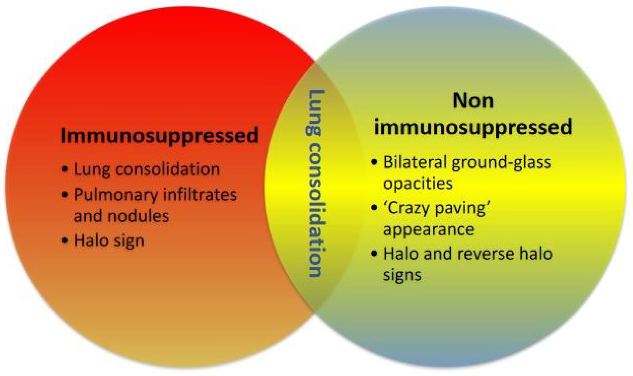 Diagnostics 13 00440 g002