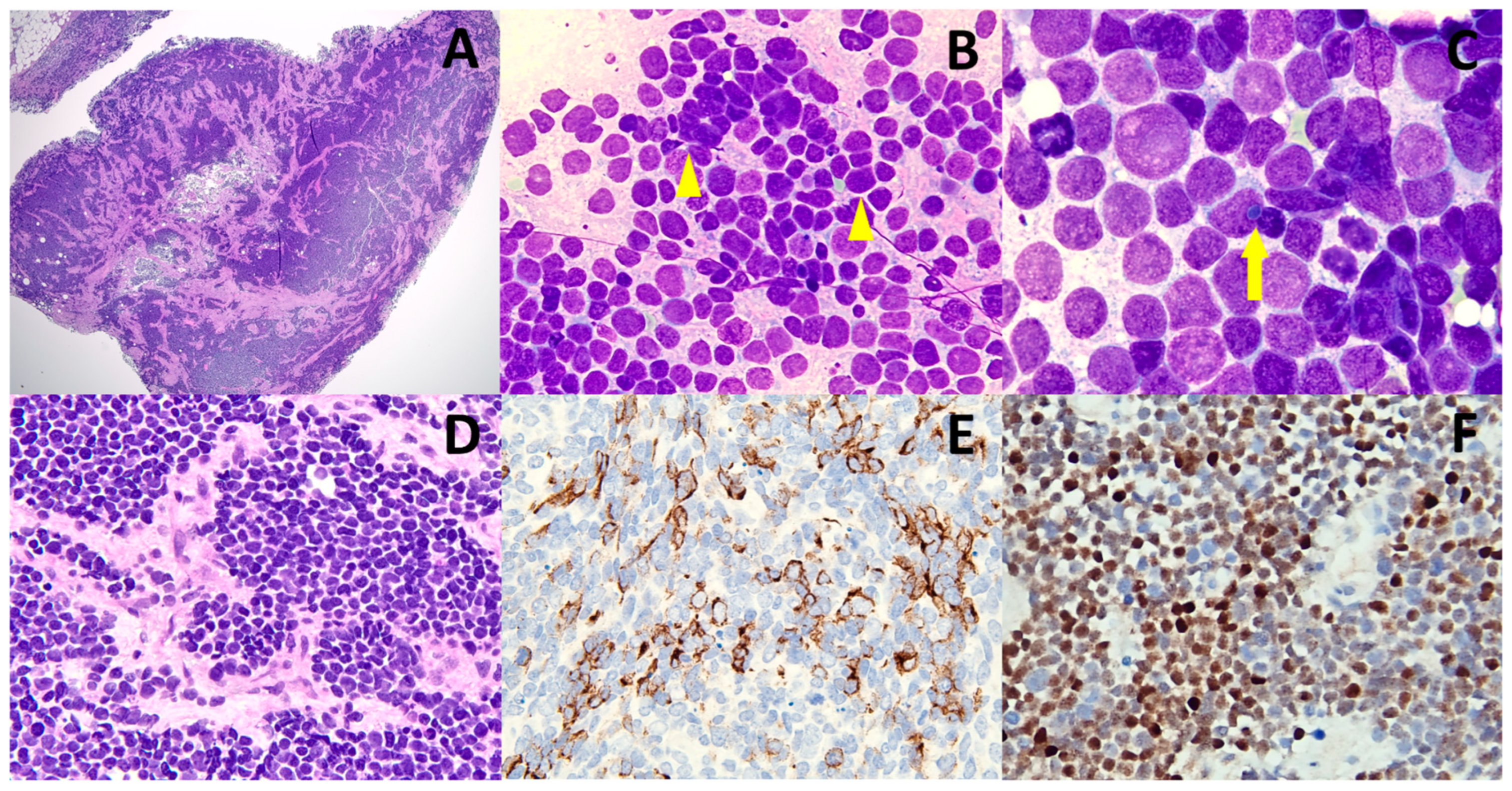 Diagnostics 13 00449 g001 Diagnostics 13 00449 g001