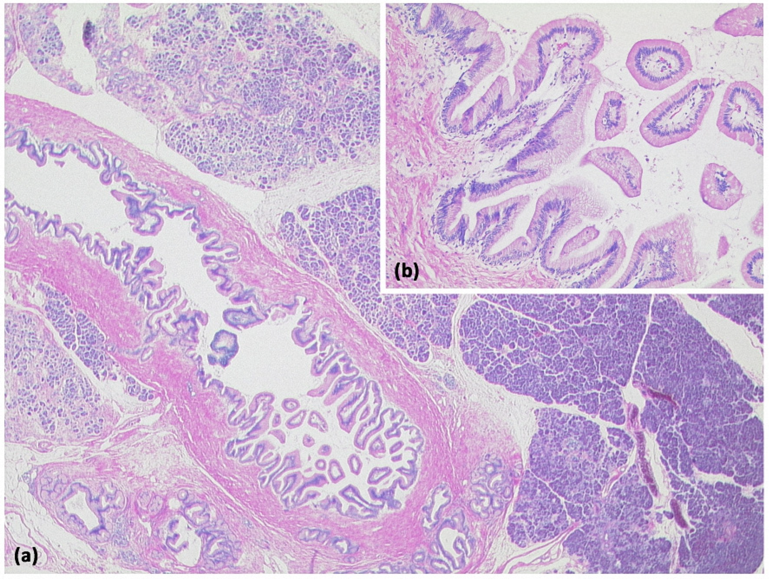 Diagnostics 13 00454 g012