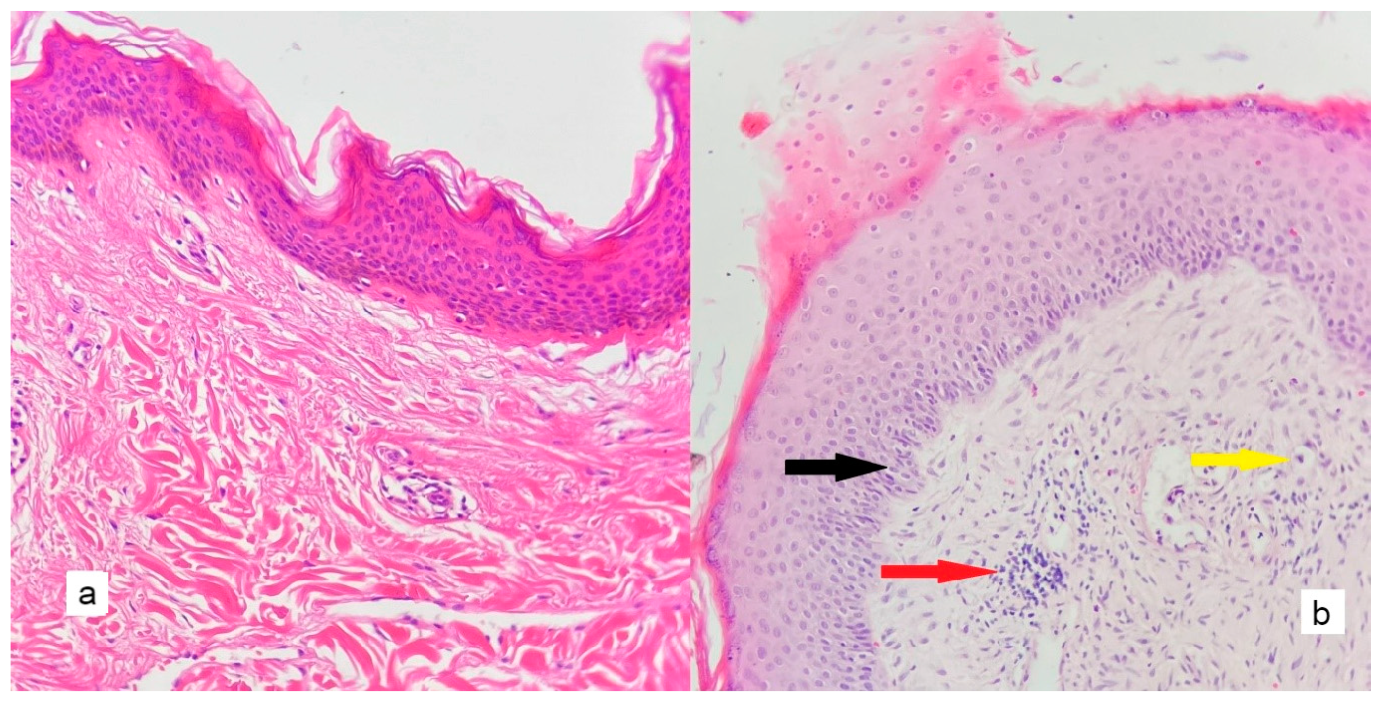 Diagnostics 13 00455 g002 Diagnostics 13 00455 g002