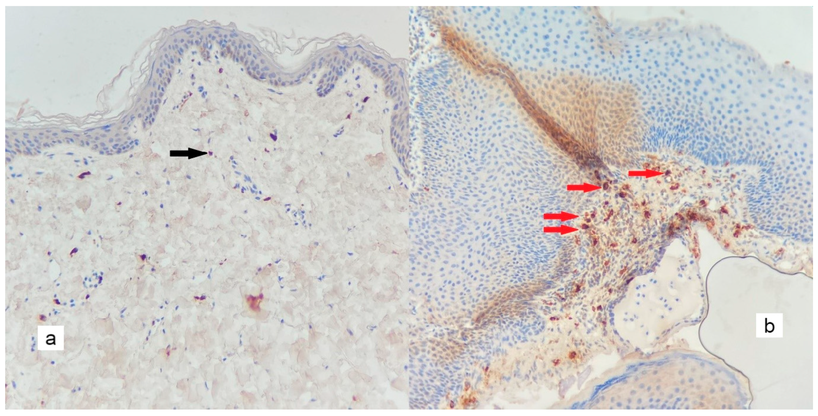 Diagnostics 13 00455 g006 Diagnostics 13 00455 g006