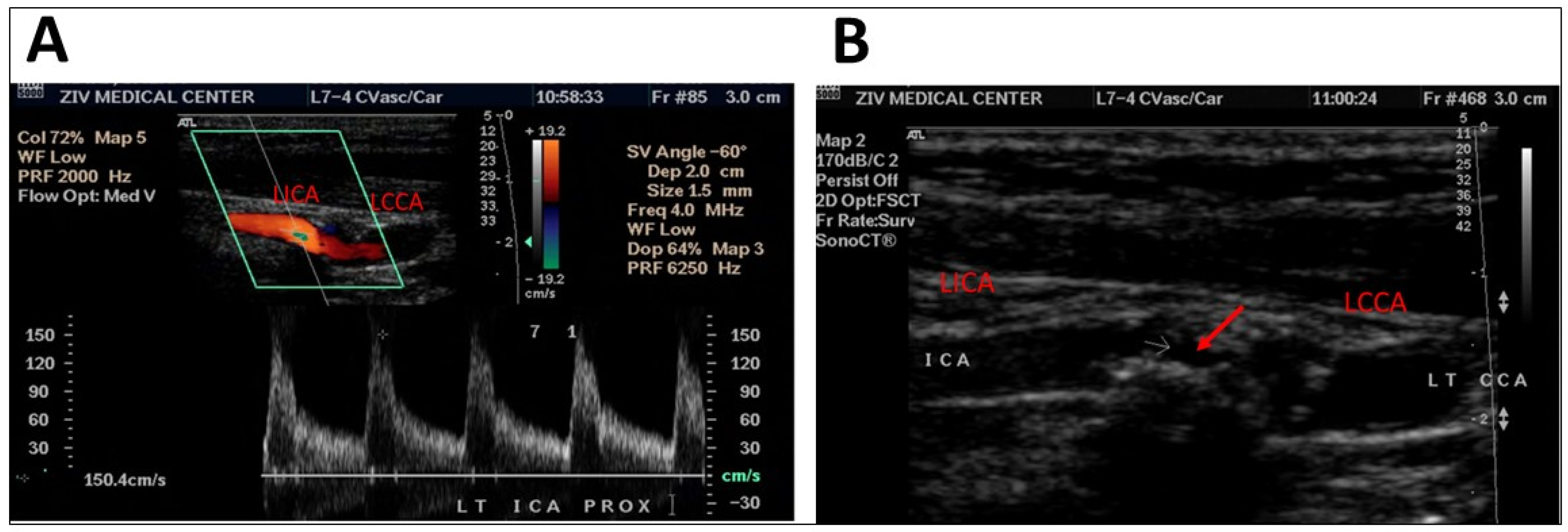 Diagnostics 13 00459 g001
