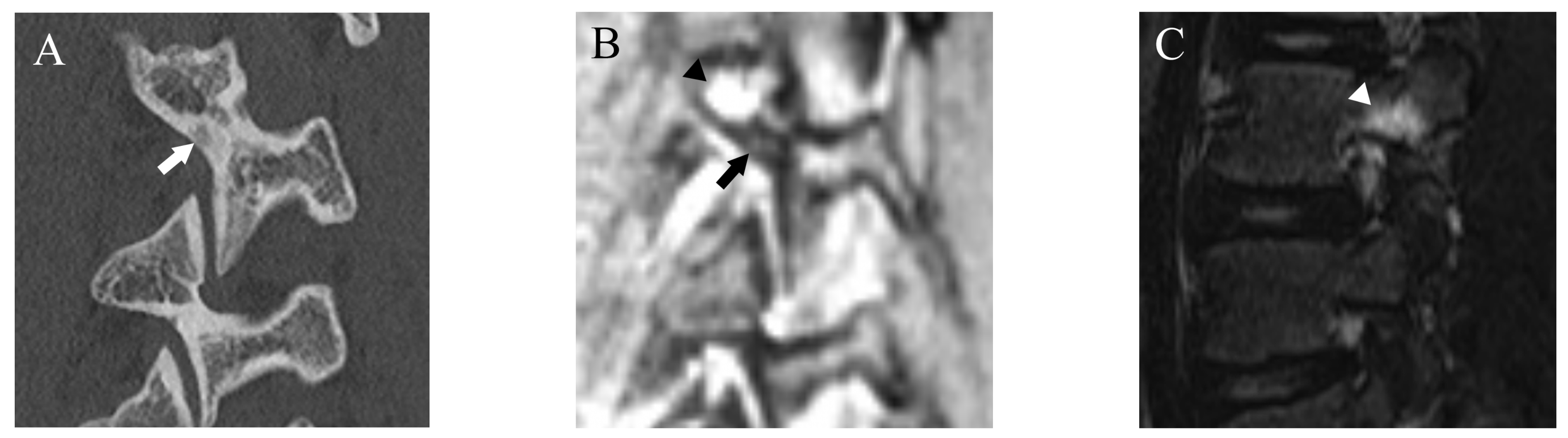 Diagnostics 13 00461 g001