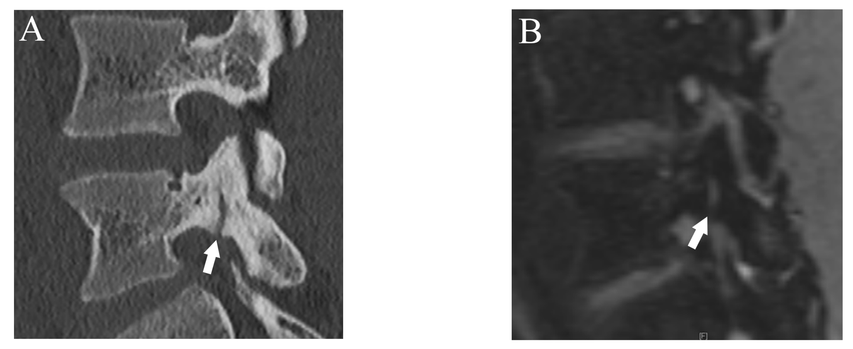 Diagnostics 13 00461 g002