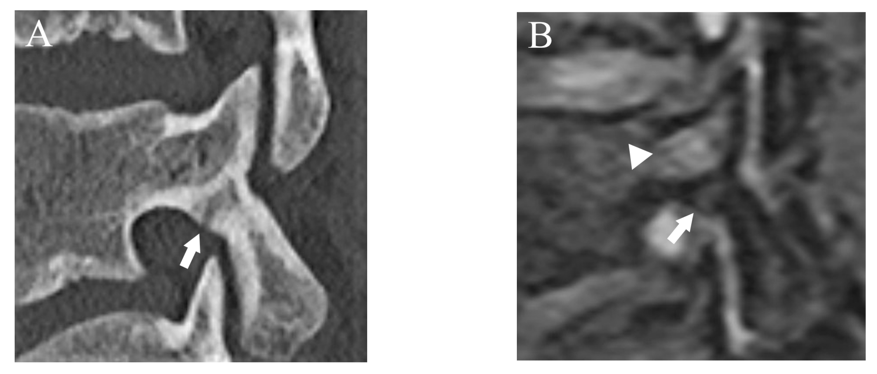 Diagnostics 13 00461 g007