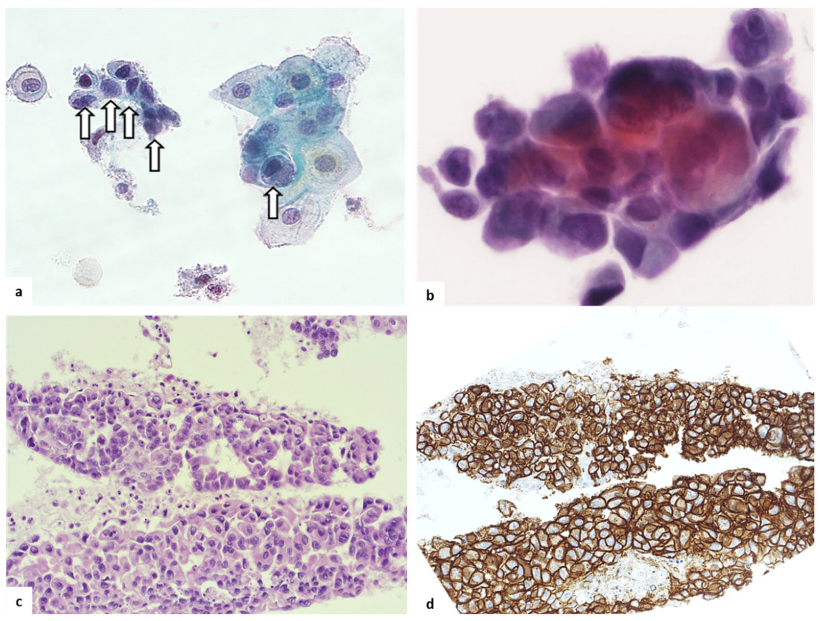 Diagnostics 13 00464 g003