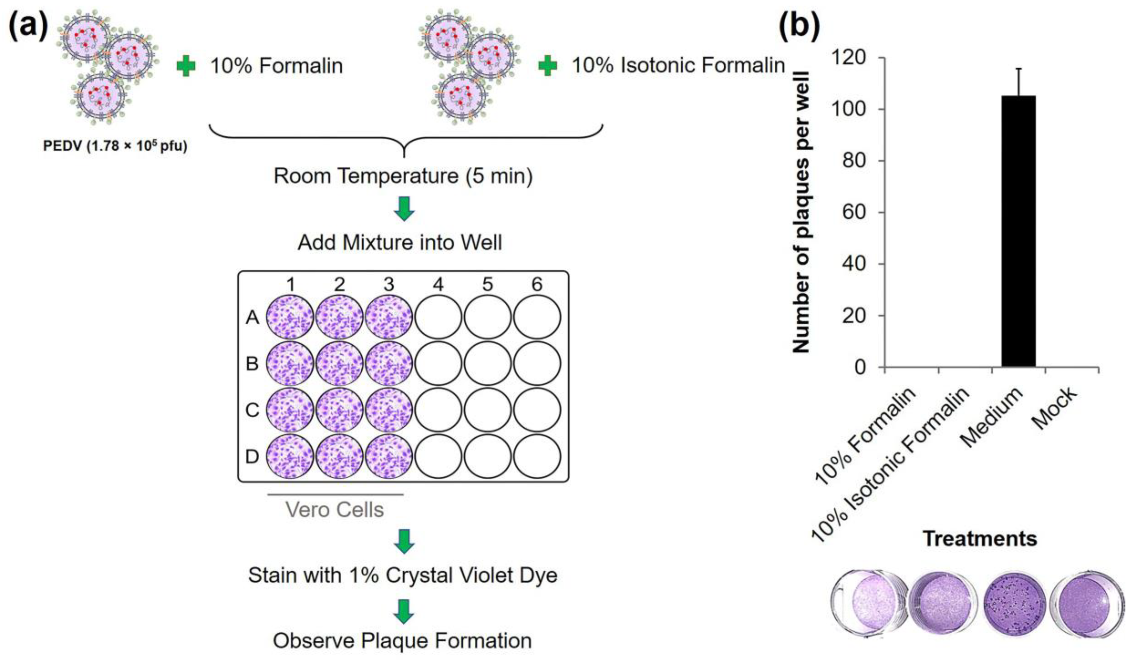 Diagnostics 13 00466 g001 Diagnostics 13 00466 g001