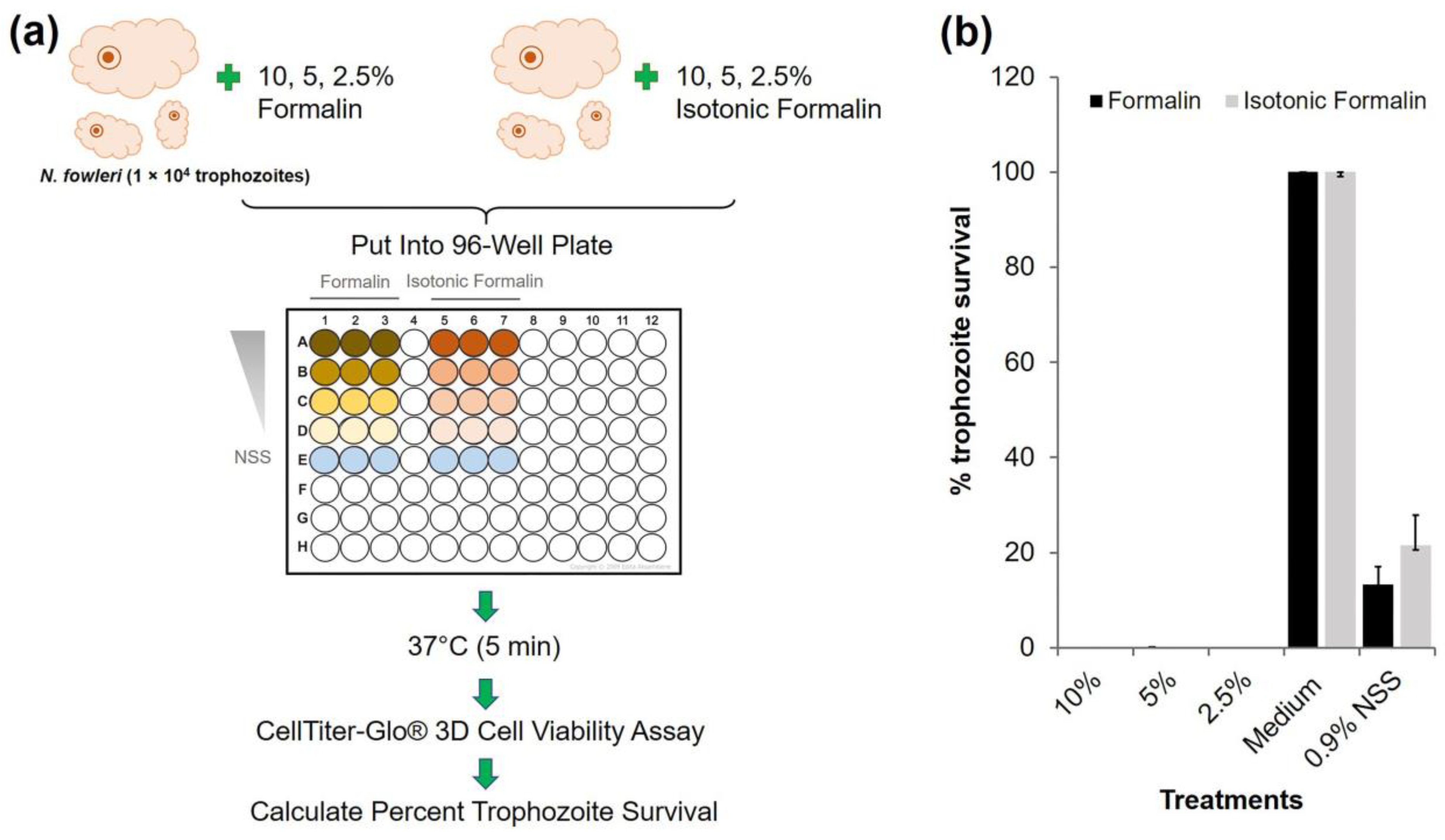 Diagnostics Free FullText Formalin Inactivation of Virus for Safe